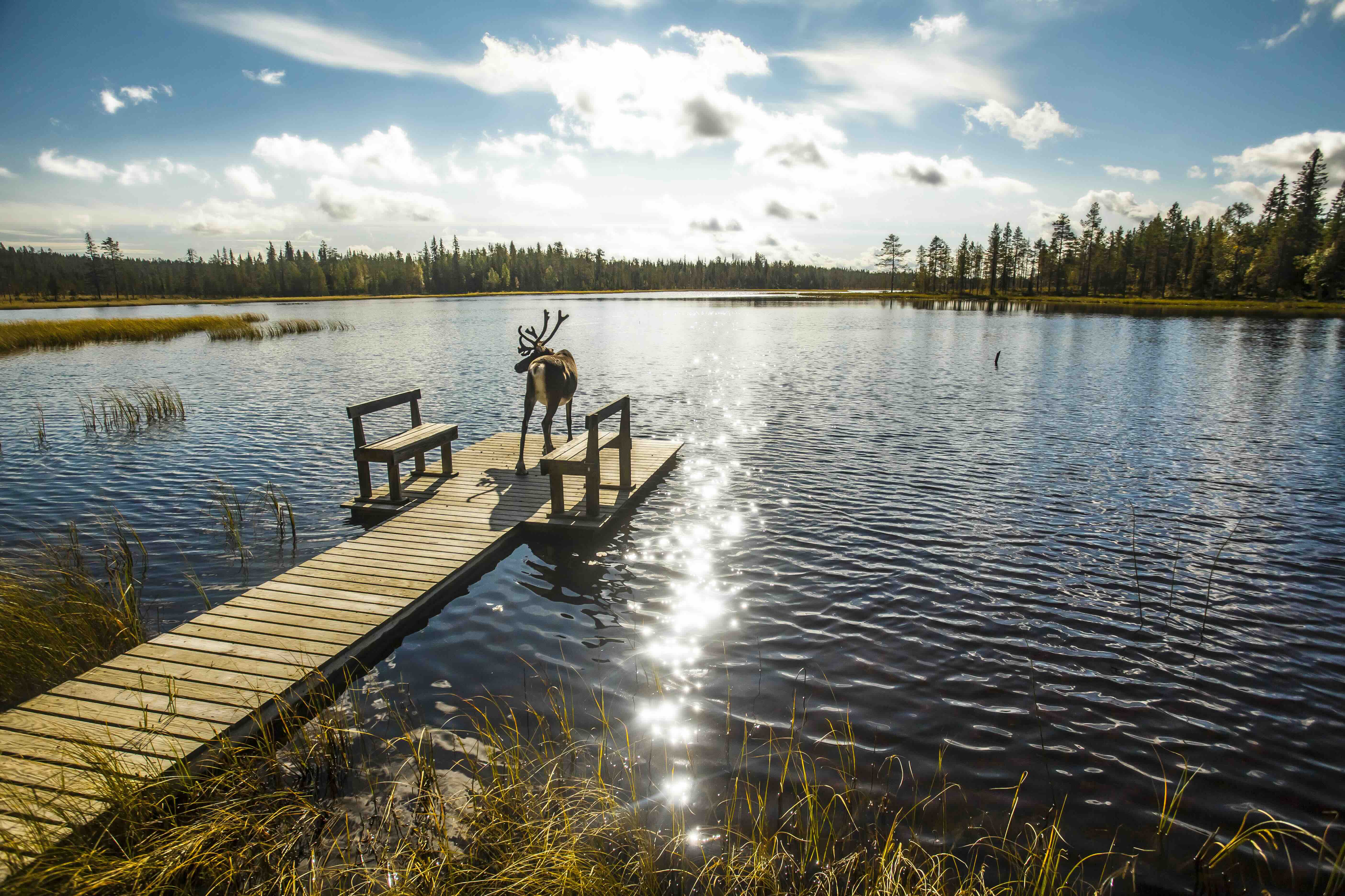 In Finland kom je volledig tot rust