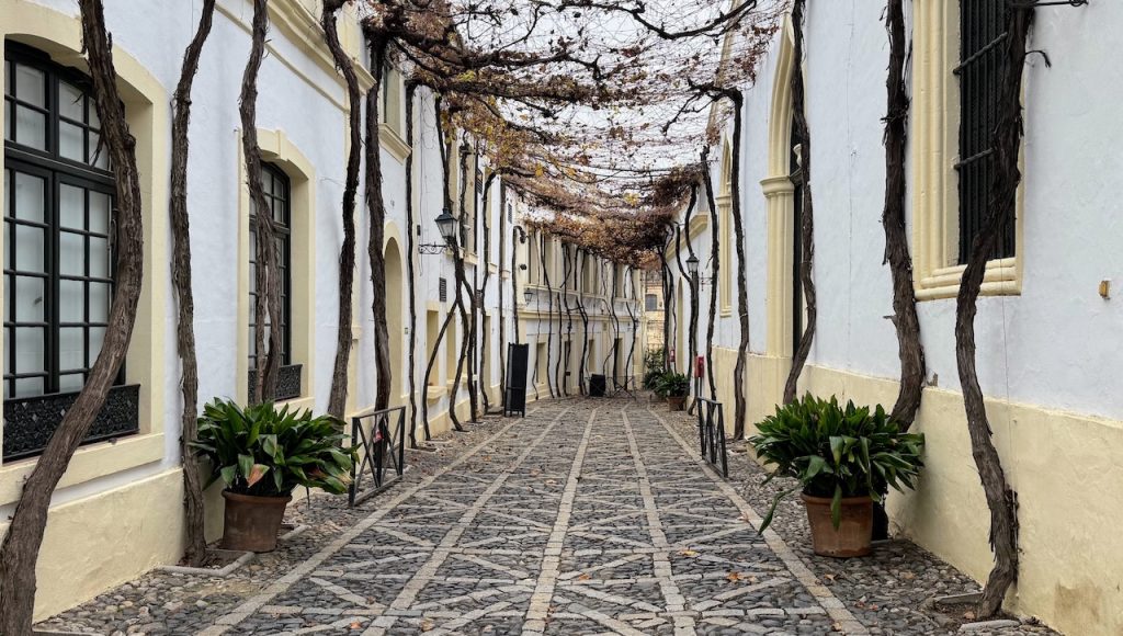 Sherry-straatjes