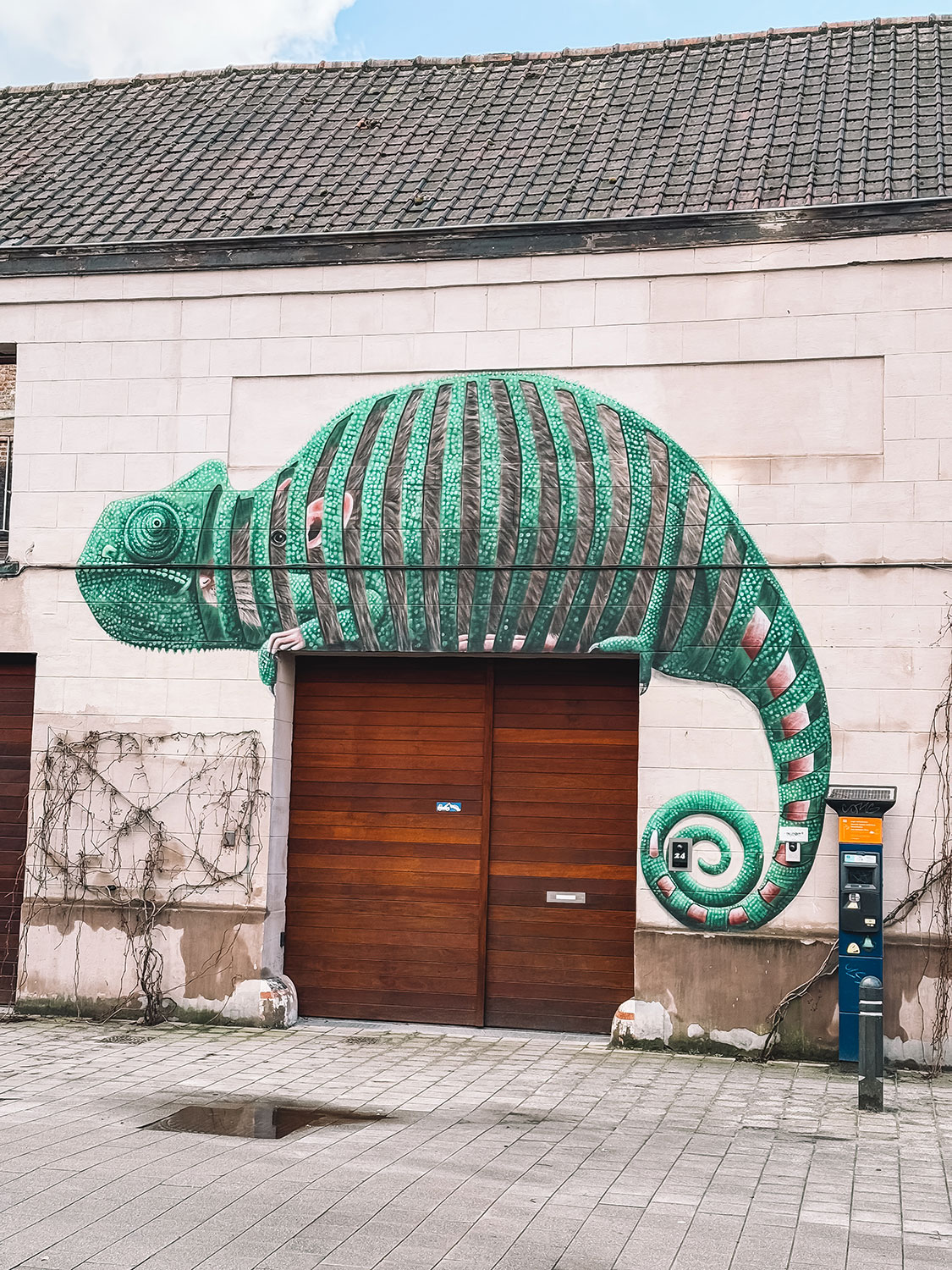 bikeghent-fietstour-streetart