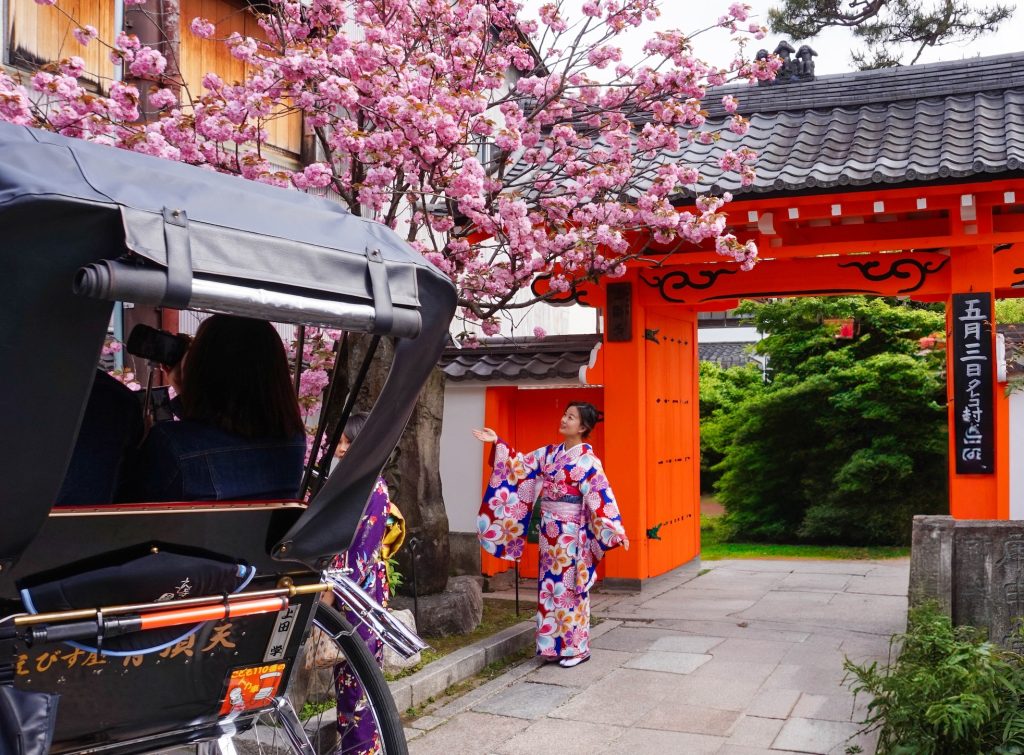 Hanami in Japan