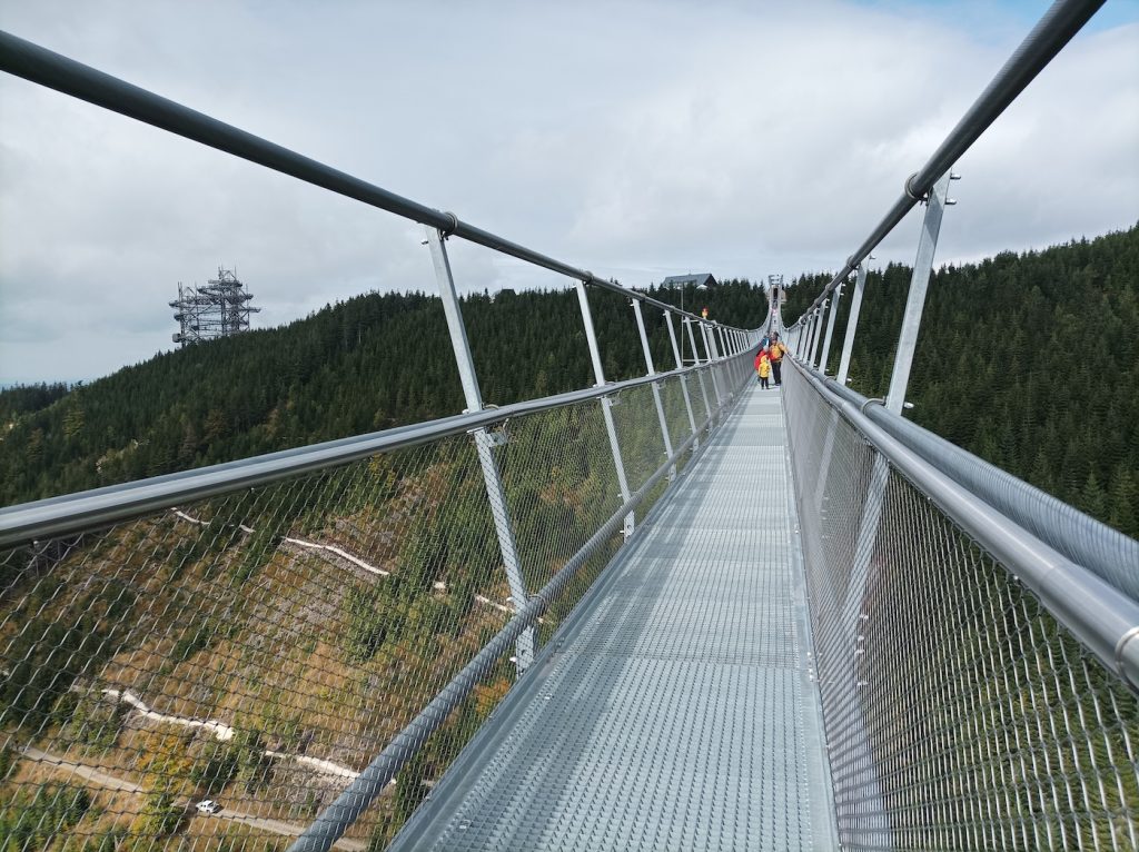 Sky Bridge 721 