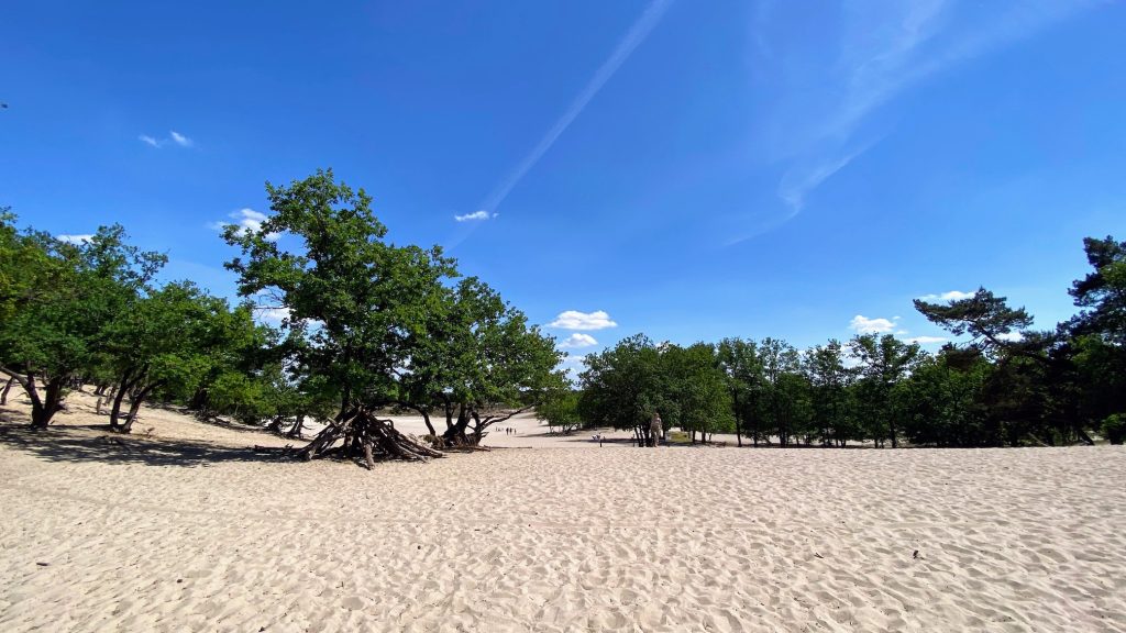 De Loonse en Drunese duinen in Brabant
