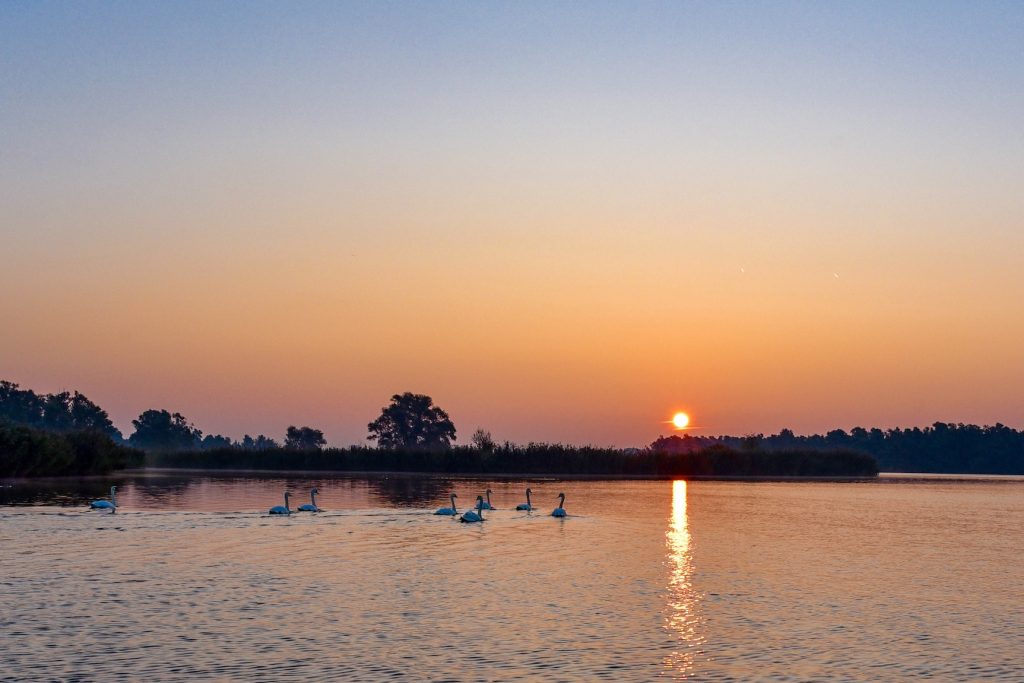 Zonsopkomst in de Biesbosch