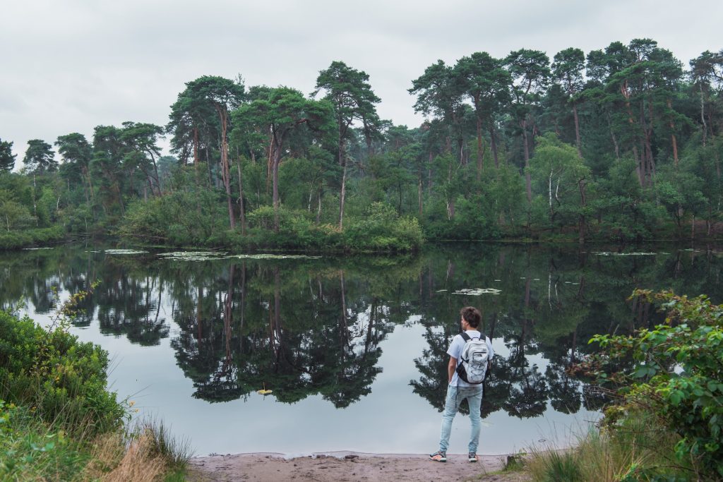 Oisterwijkse bossen en vennen