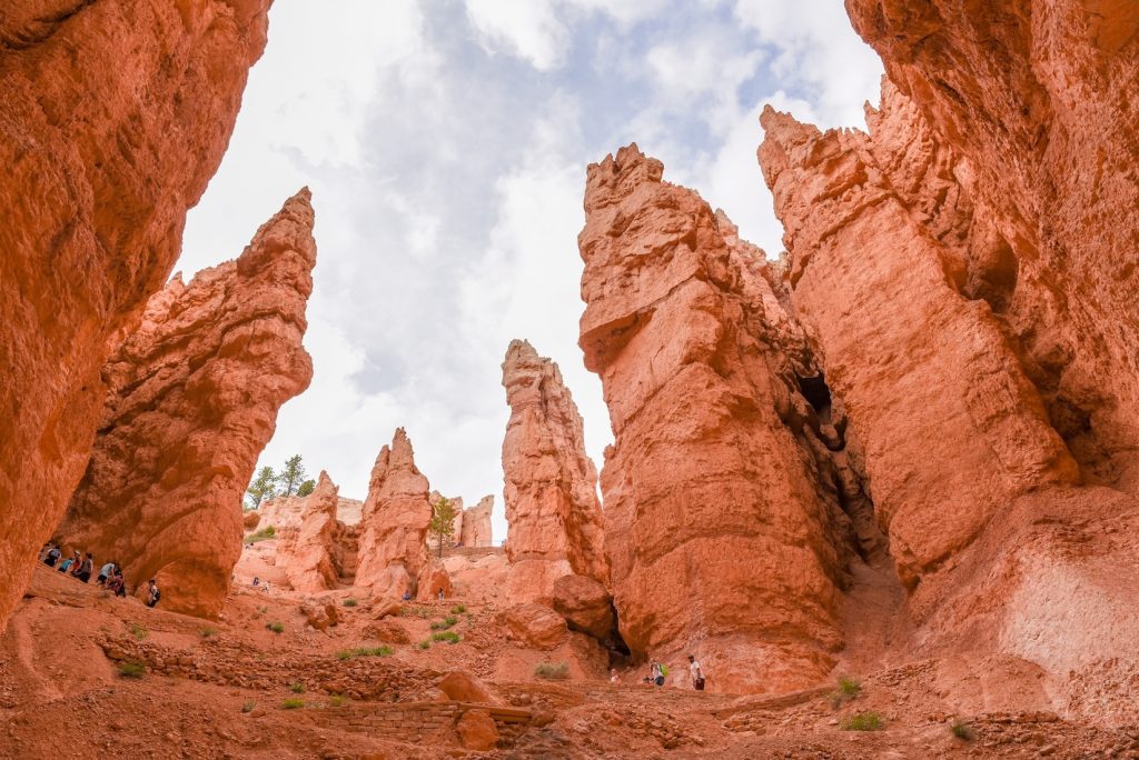Hoodoos in Bryce National Park