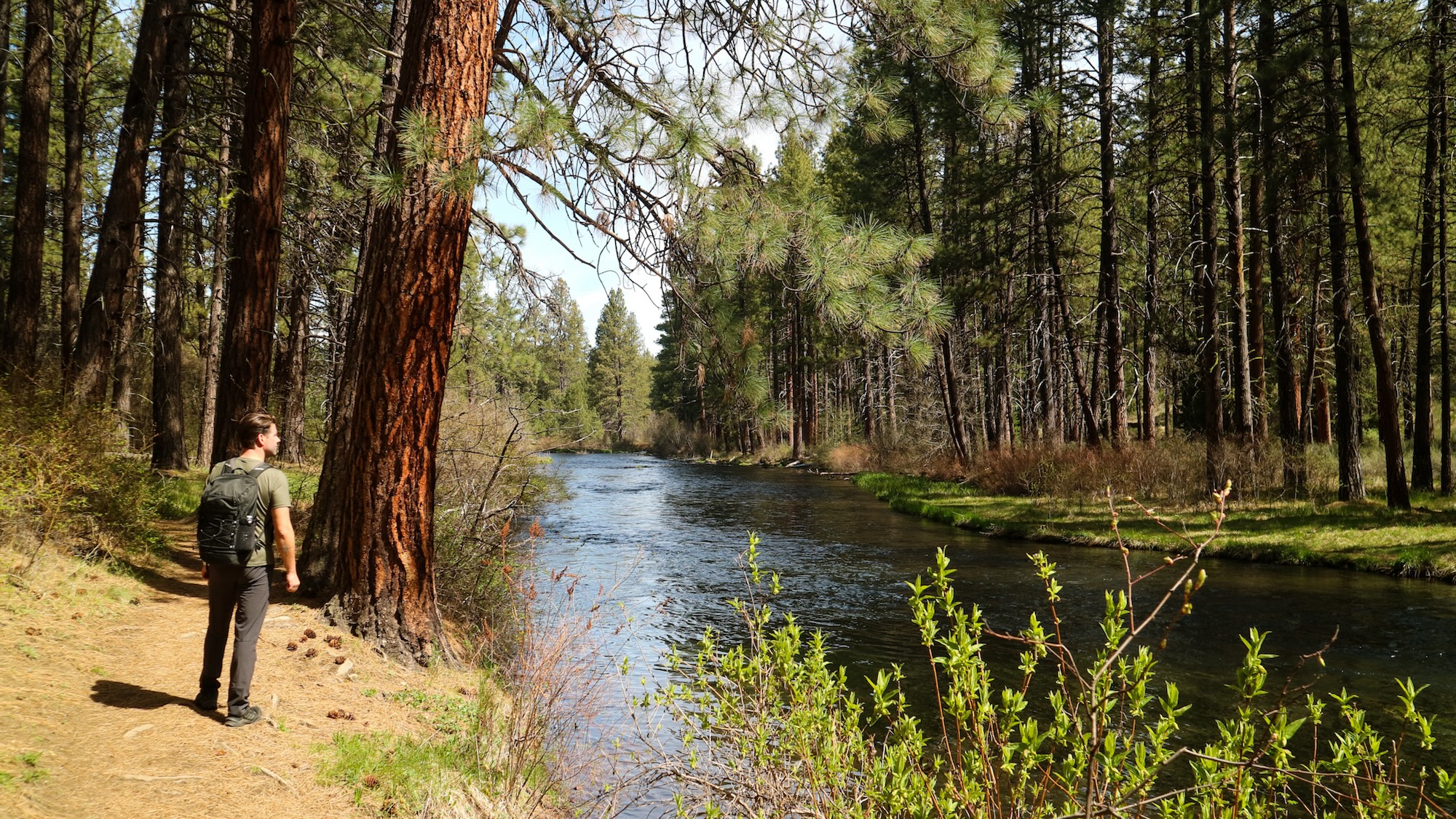 Metolius River hike