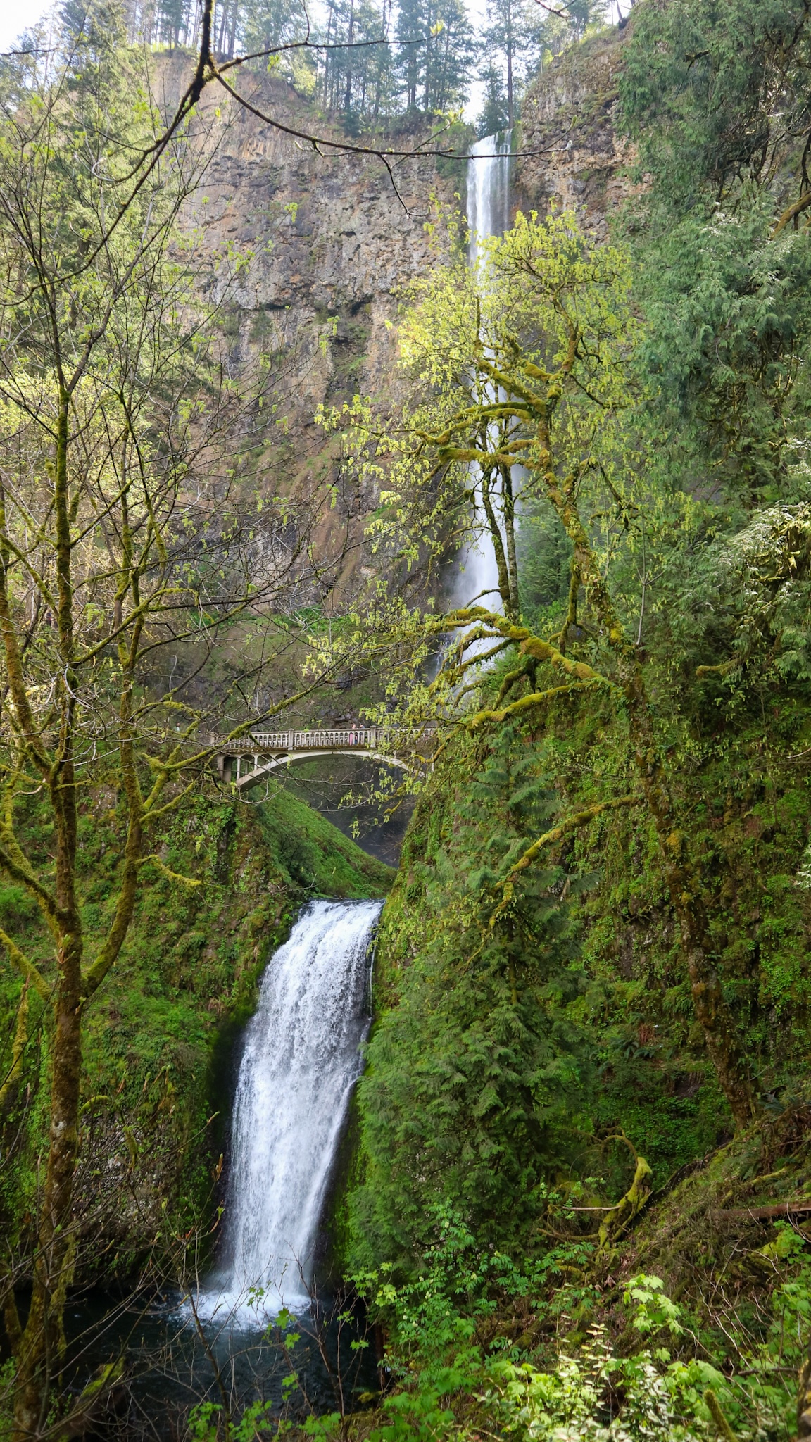 Multnomah Falls Oregon