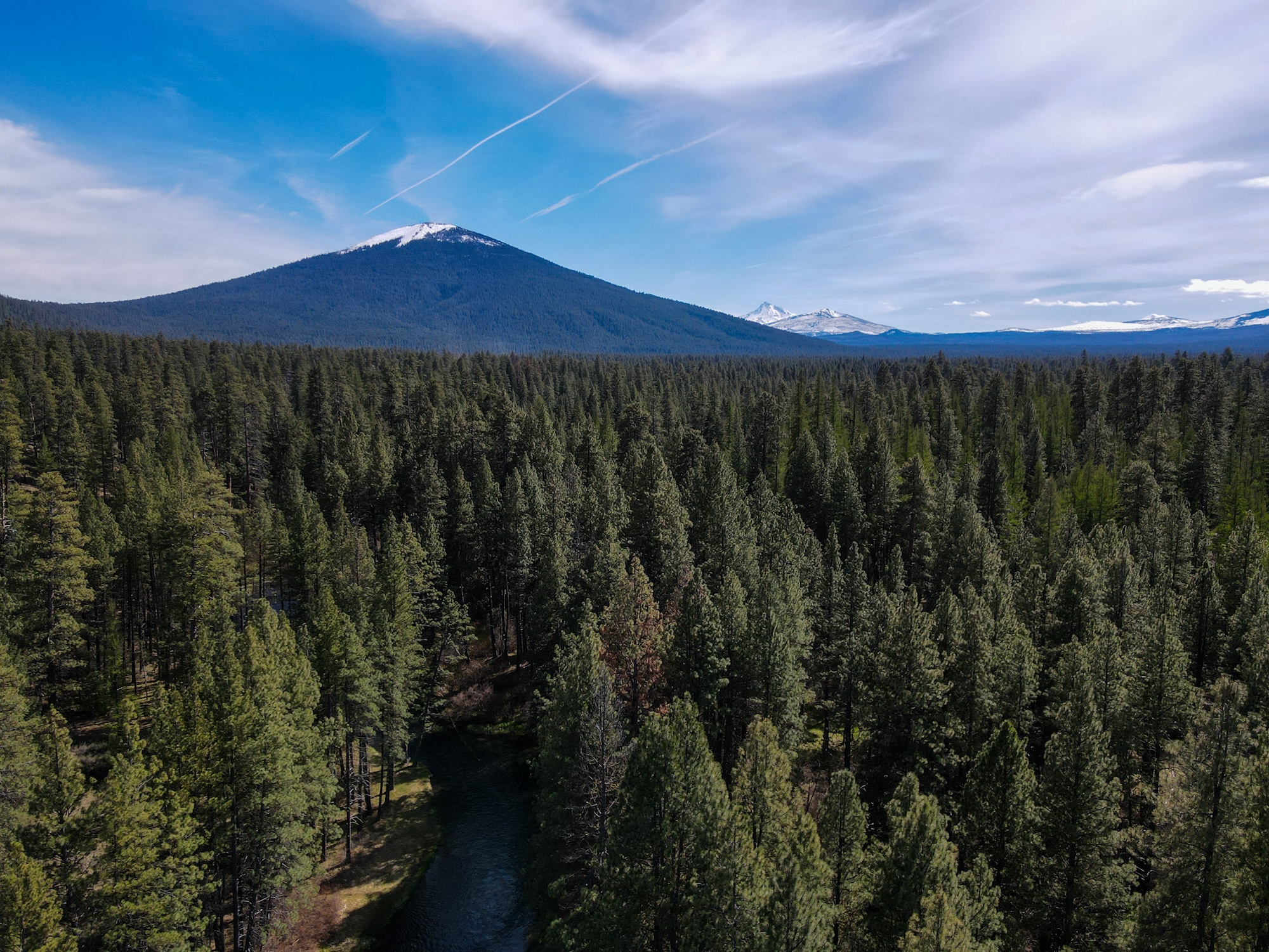 Oregon bergen bossen
