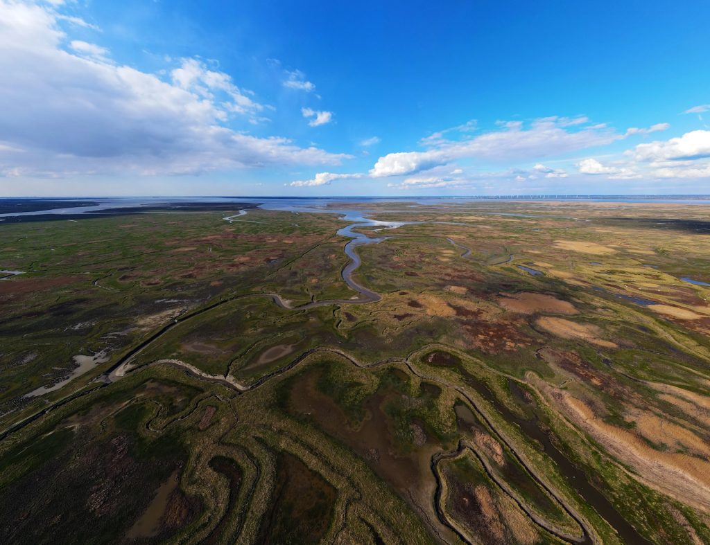 Het verdronken land van Saeftinghe
