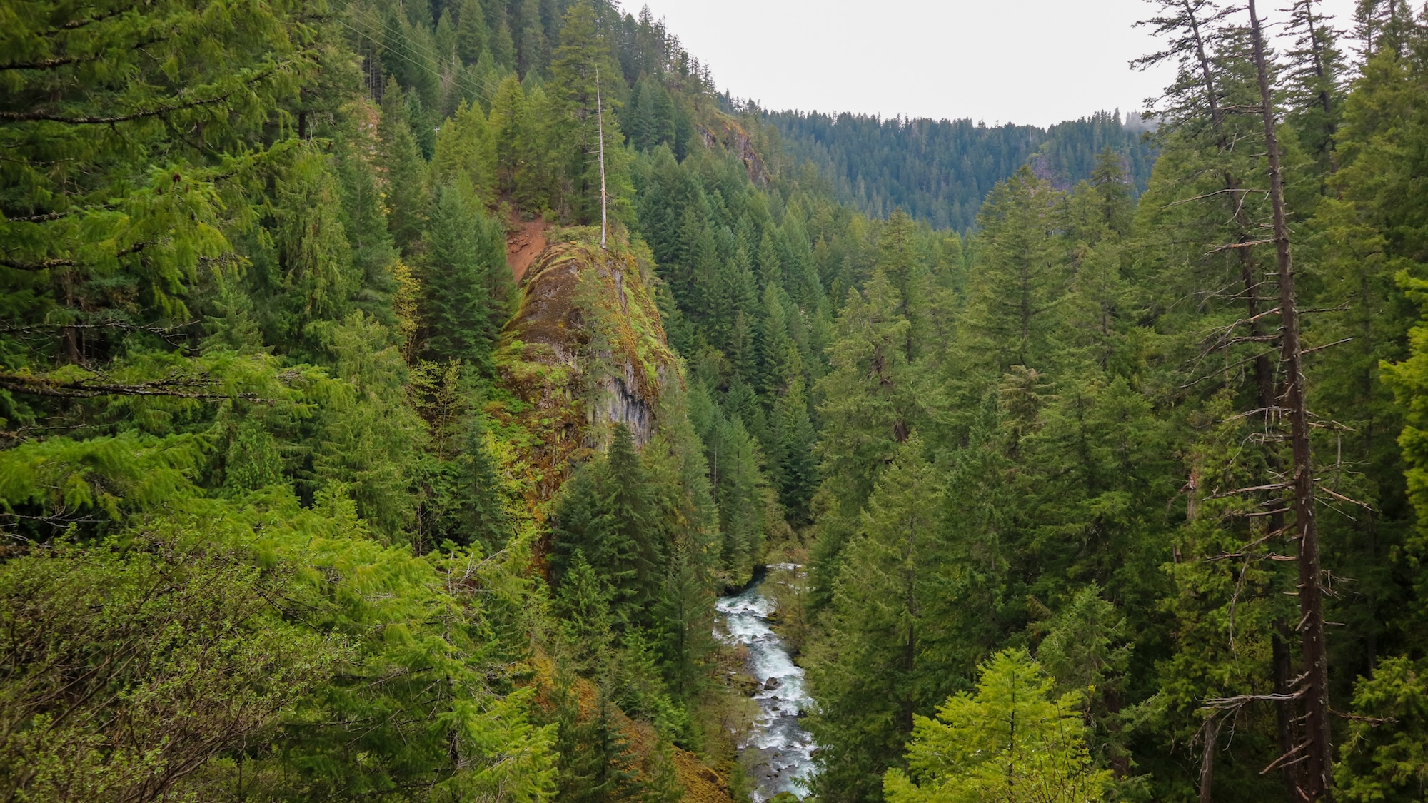 Umpqua Oregon