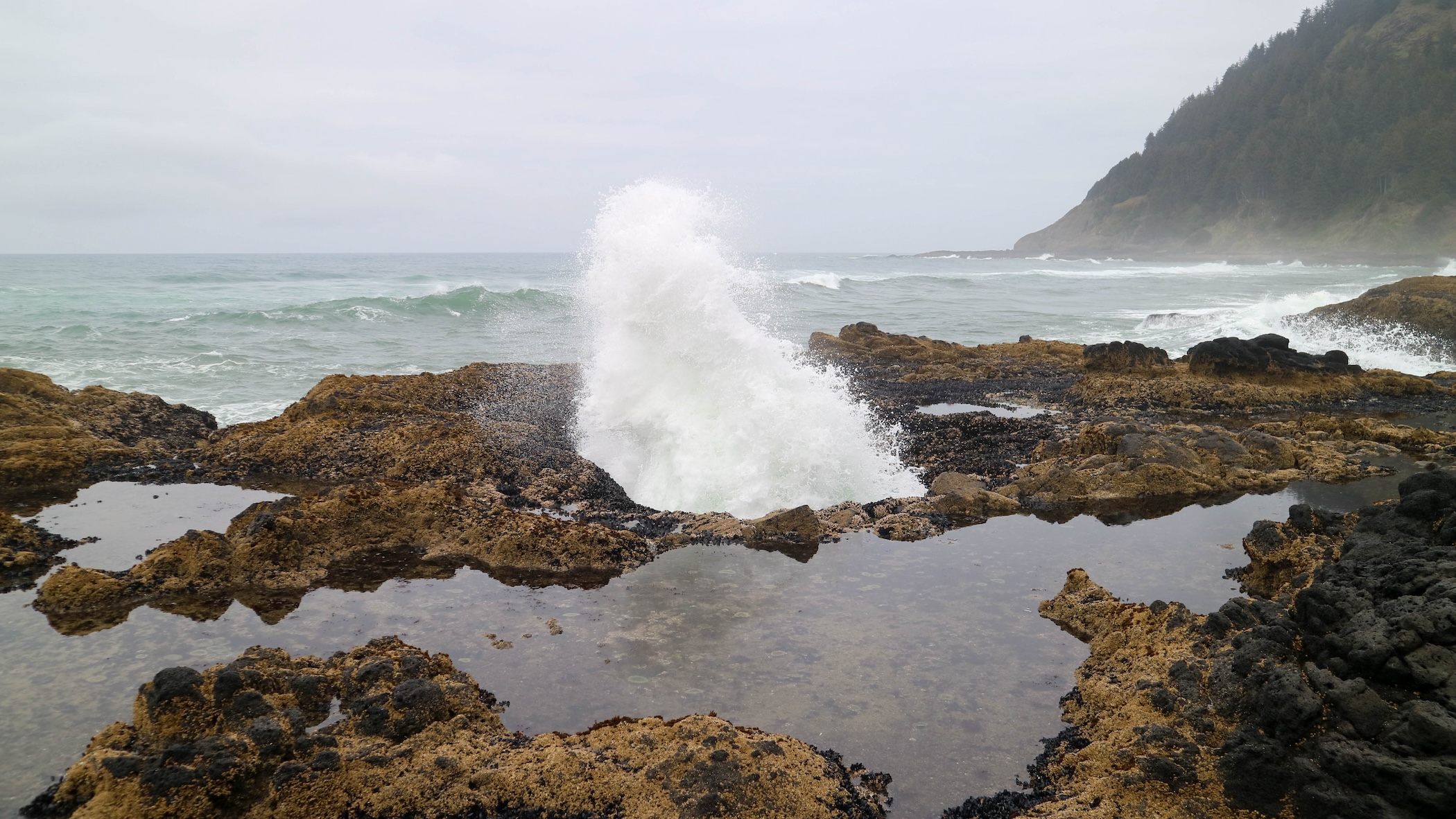 Thor's Well in Oregon