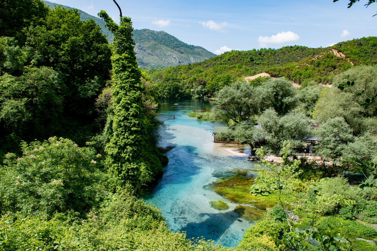 Blue eye Albanie