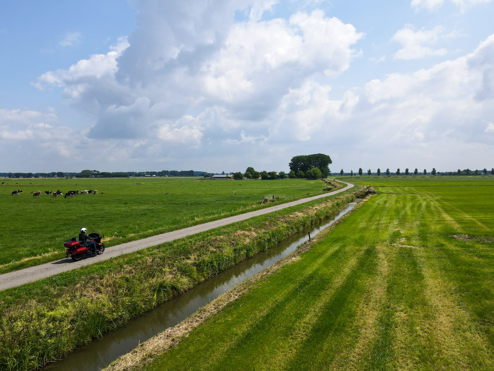 Eindeloze wegen door de weilanden in de Betuwe.