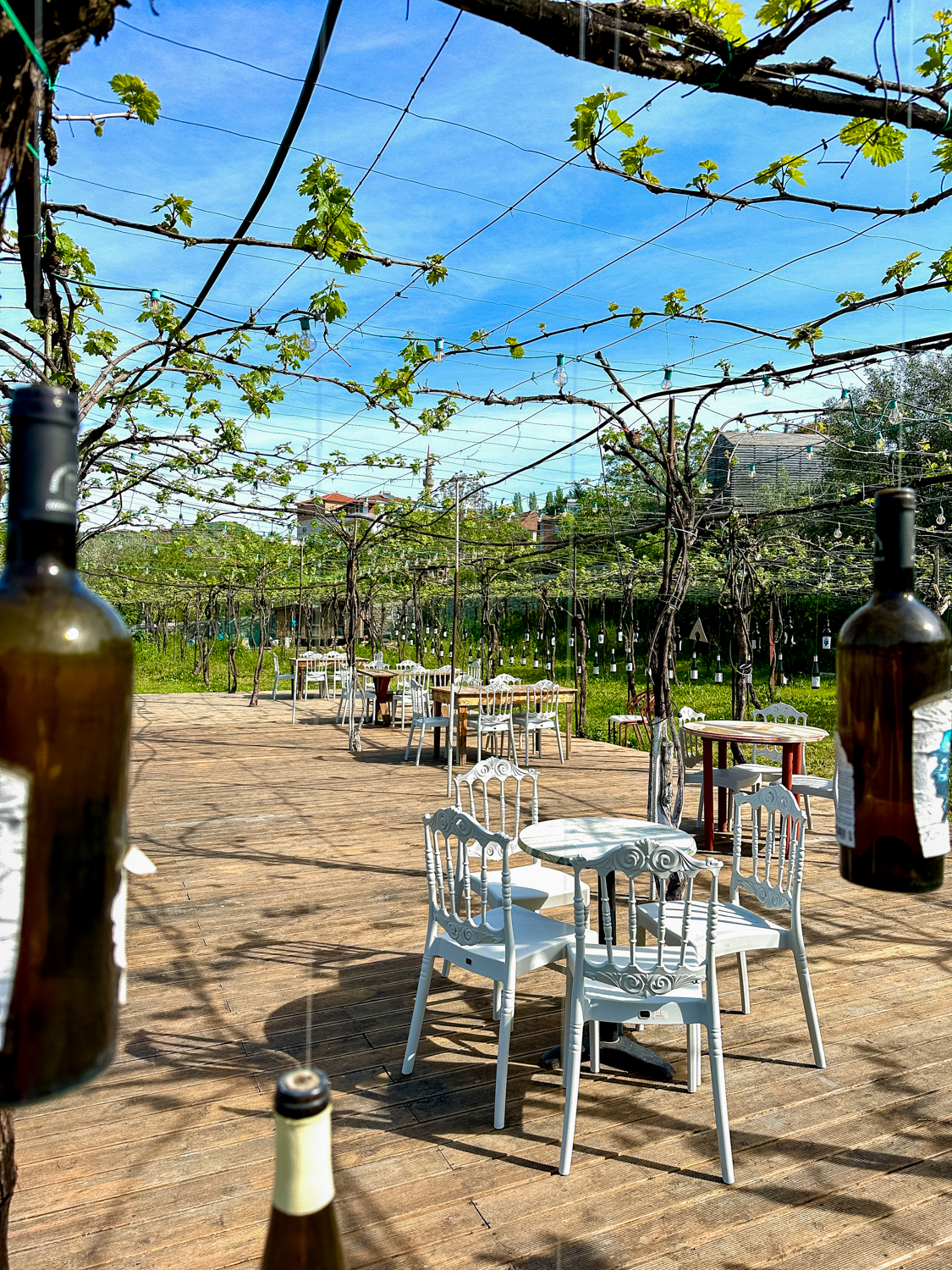 Wijn proeven Albanië