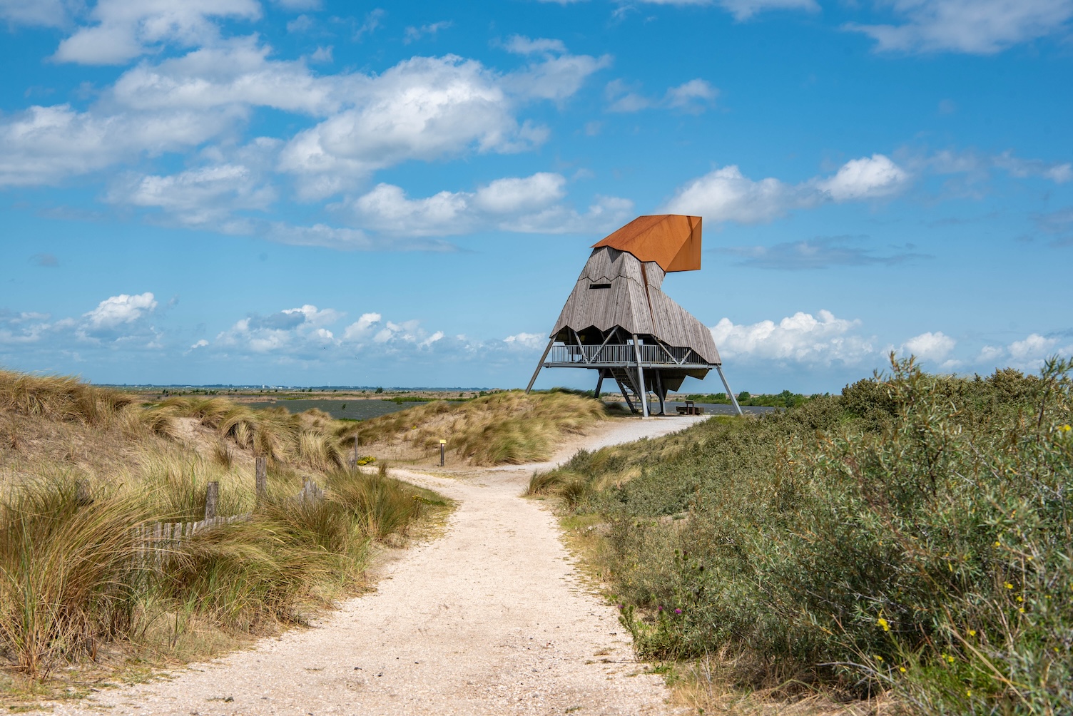 Ontdek de Marker Wadden: zo mooi is het nieuwste stukje Nederland