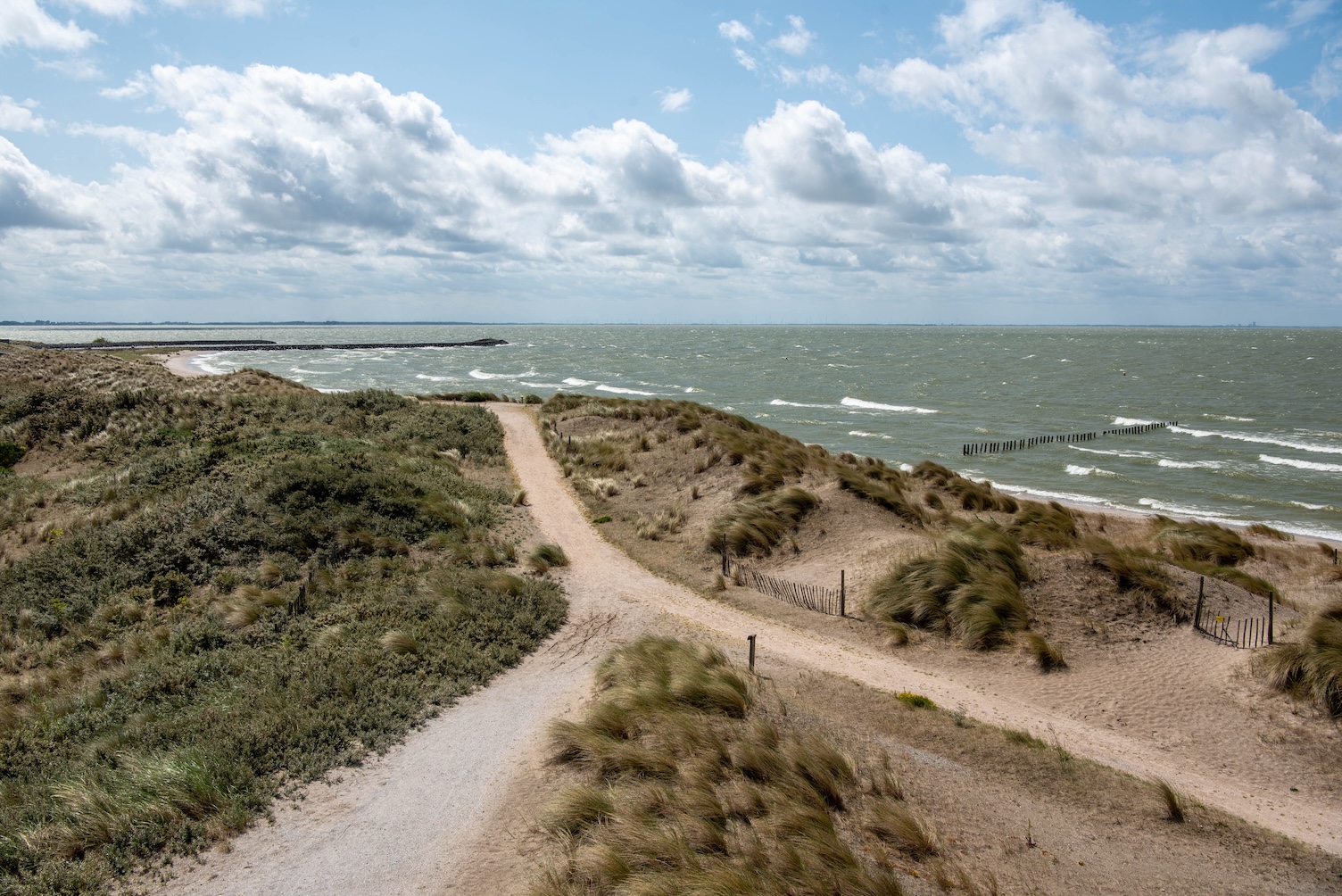 Strand op Haveneiland van de Marker Wadden