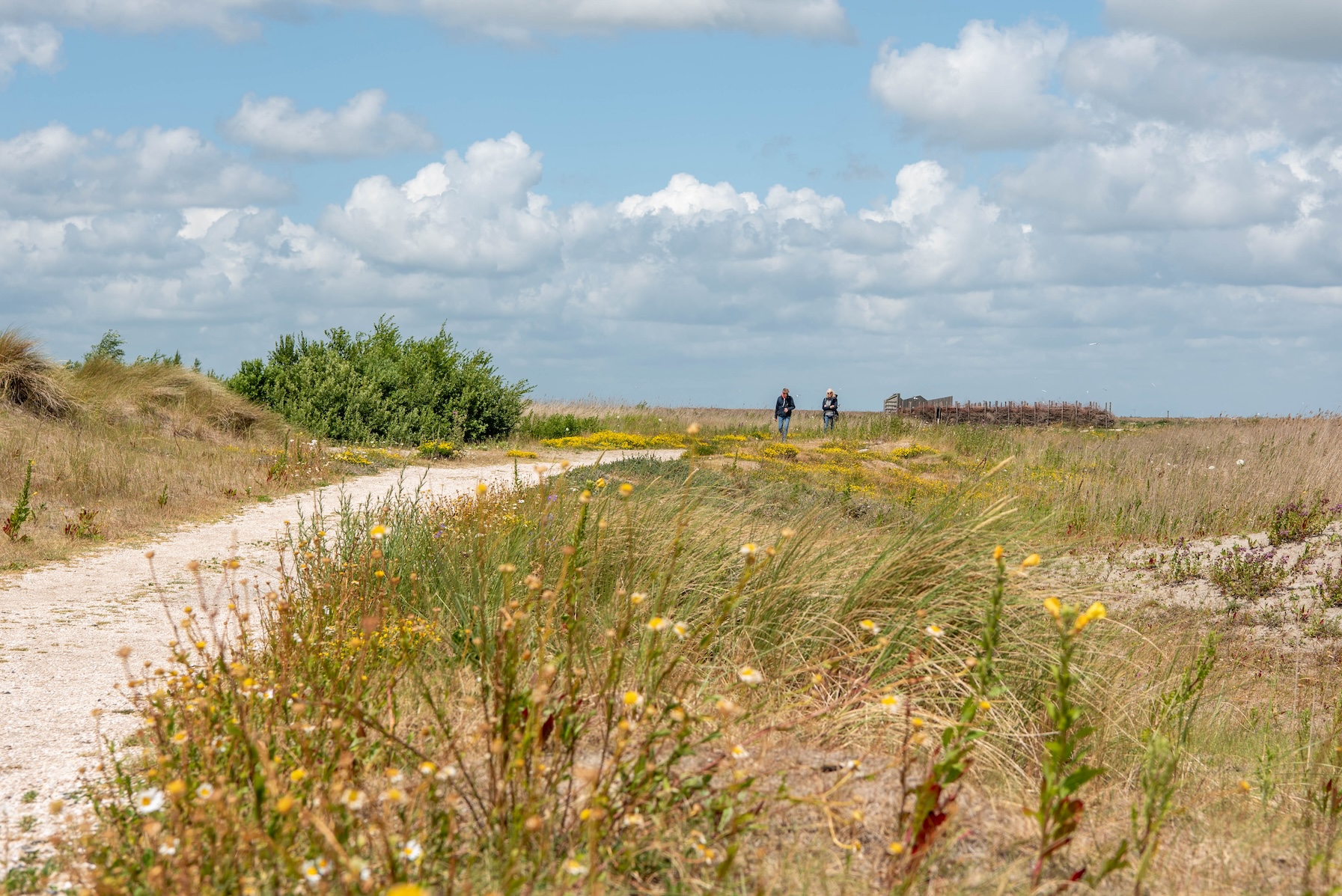 Mooie wandelpaden op haveneiland