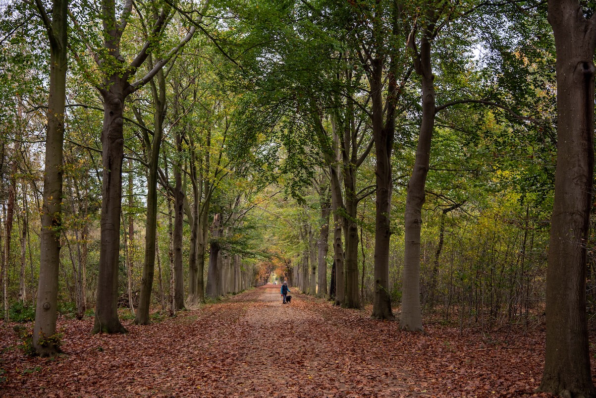 Smokkelroute in Strijbeek