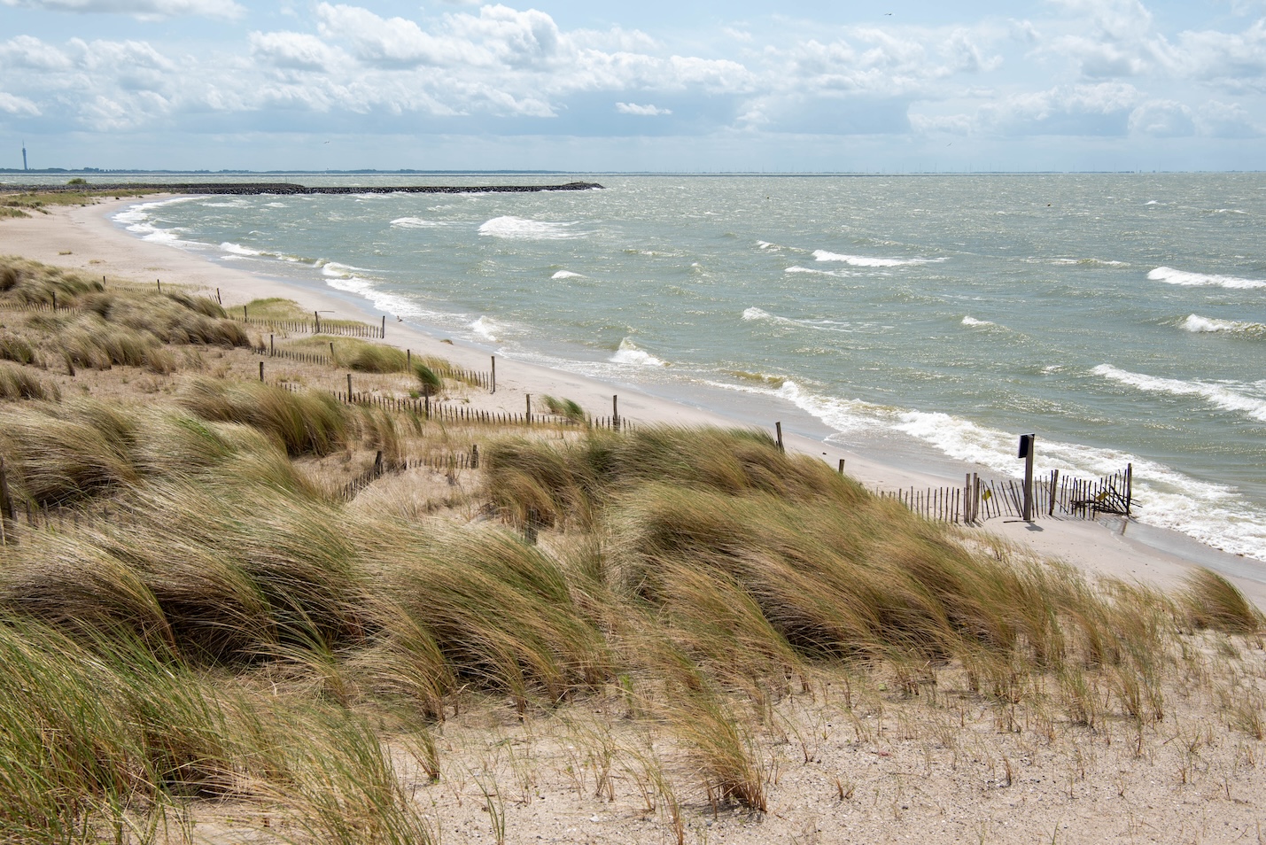 Uitwaaien op Haveneiland