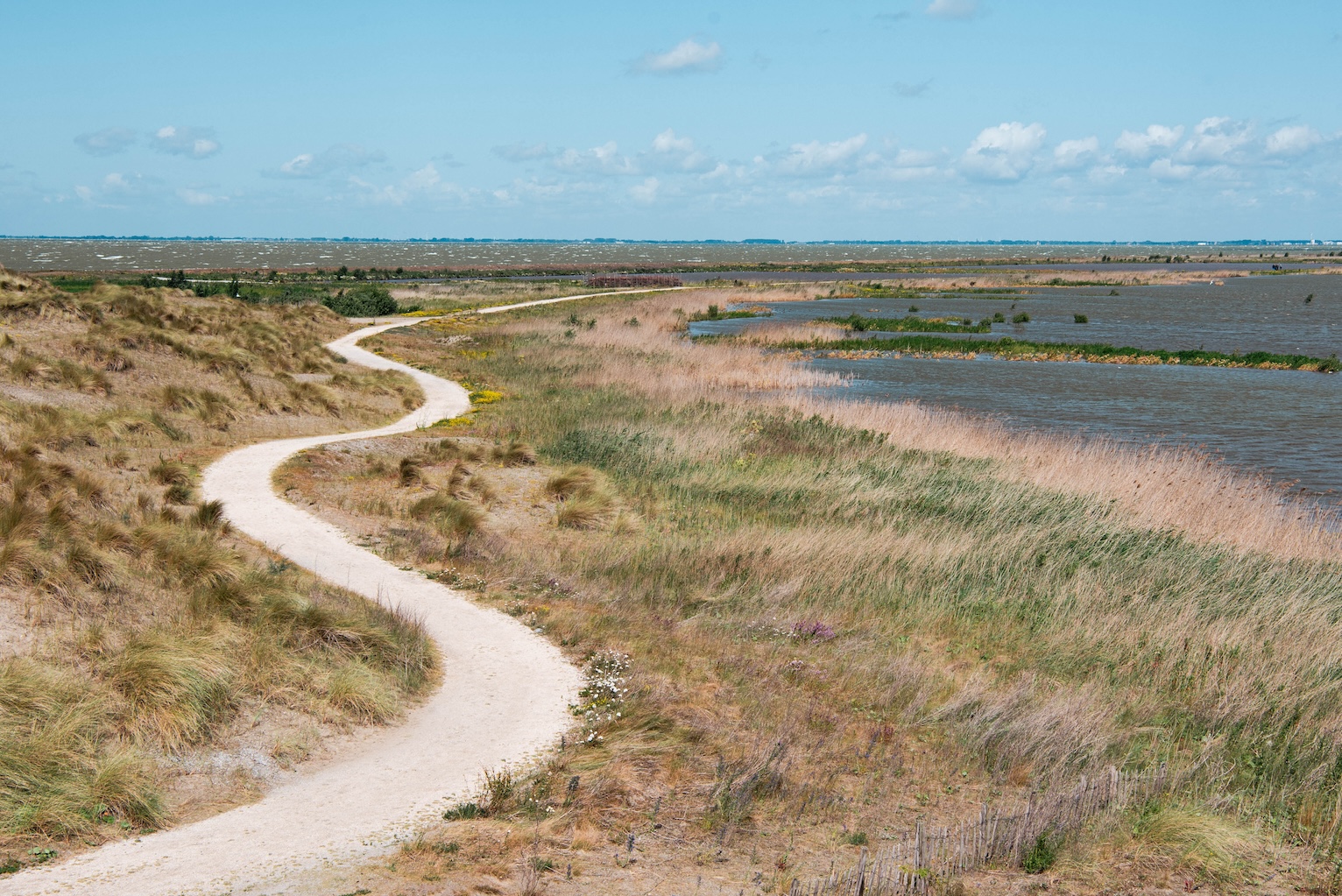 Mooi wandelpad met bochten