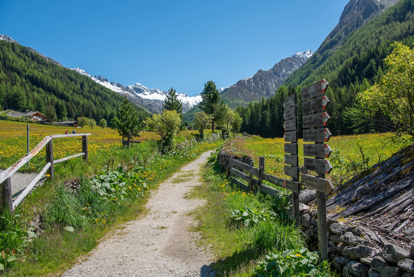 Bosbaden in Zuid-Tirol