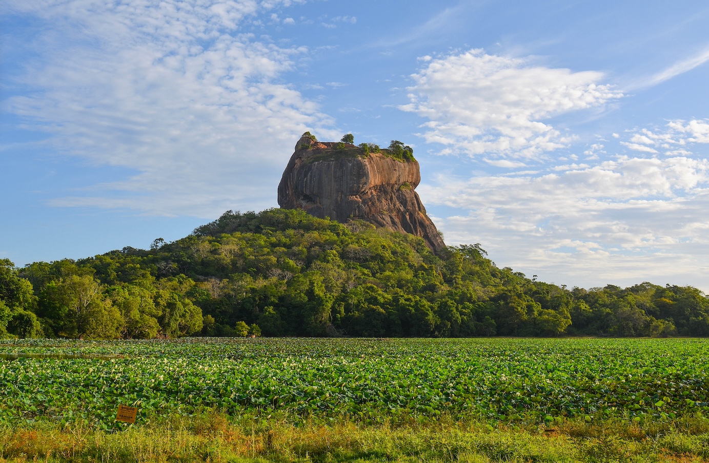 Hét icoon van Sri Lanka: de leeuwenrots