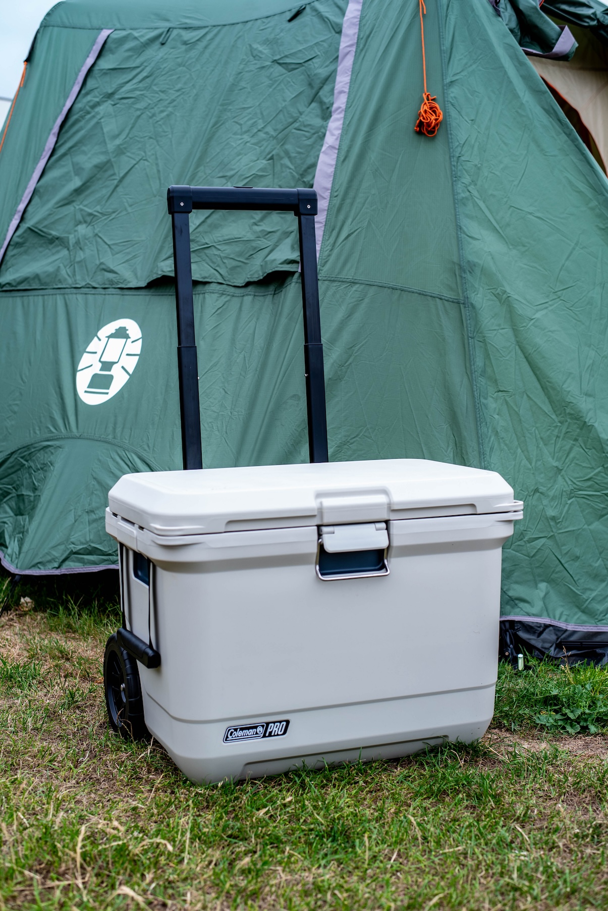 55QT Coleman Pro koelbox