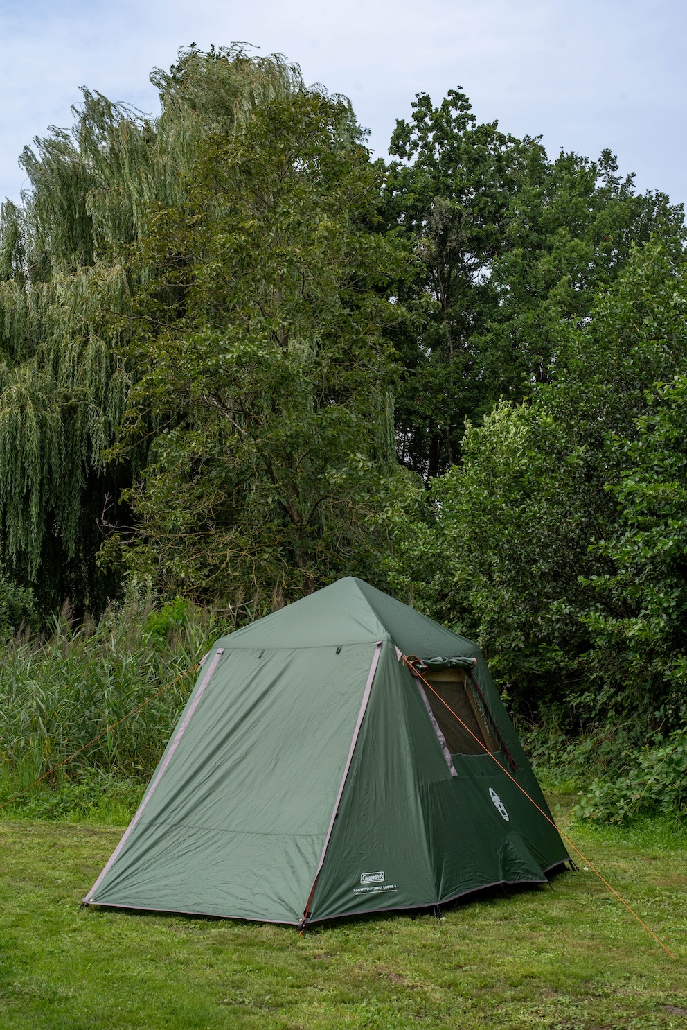 Coleman FastPitch Forest Lodge 4 opzetten