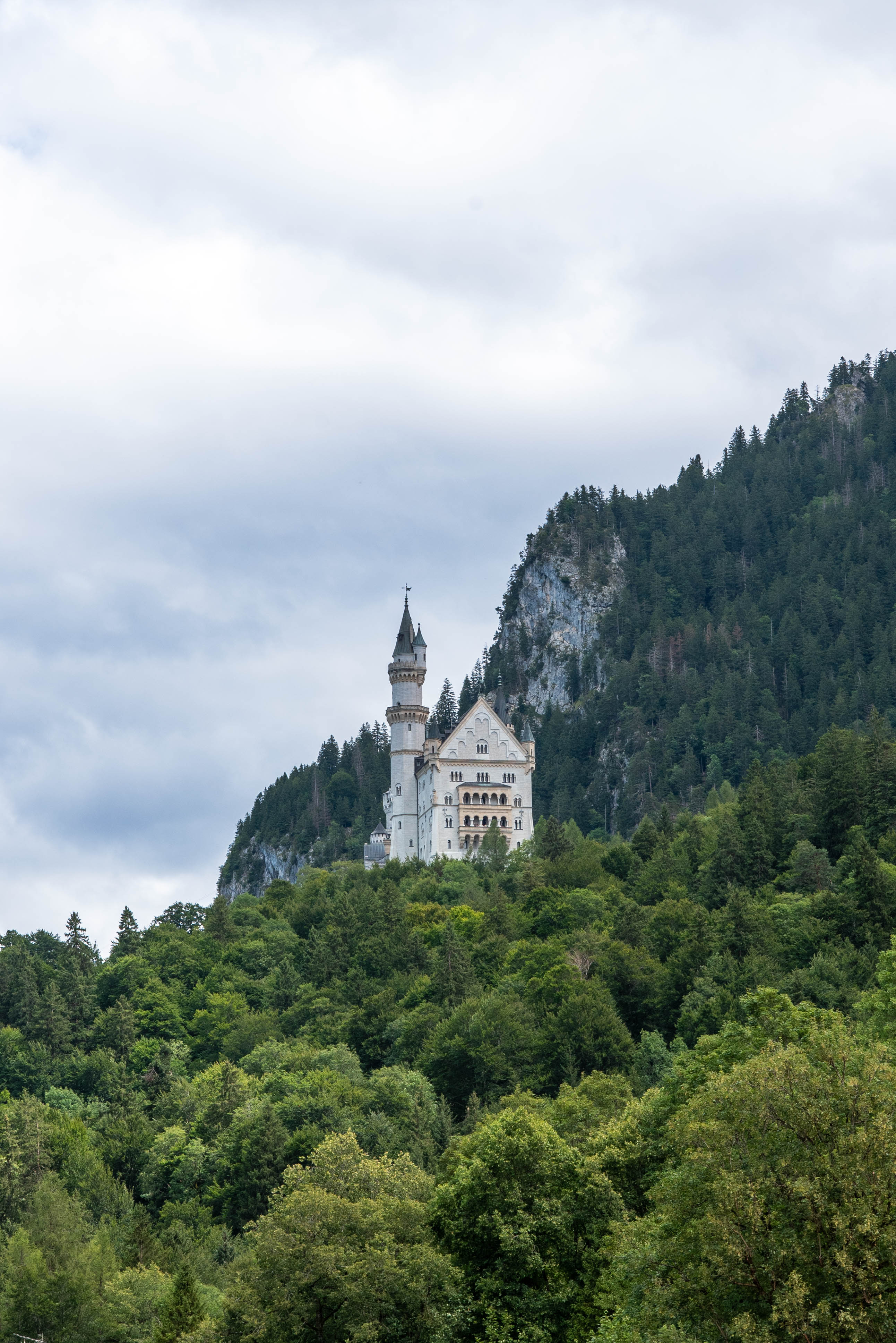 Uitzicht op het kasteel vanuit Hohenschwangau