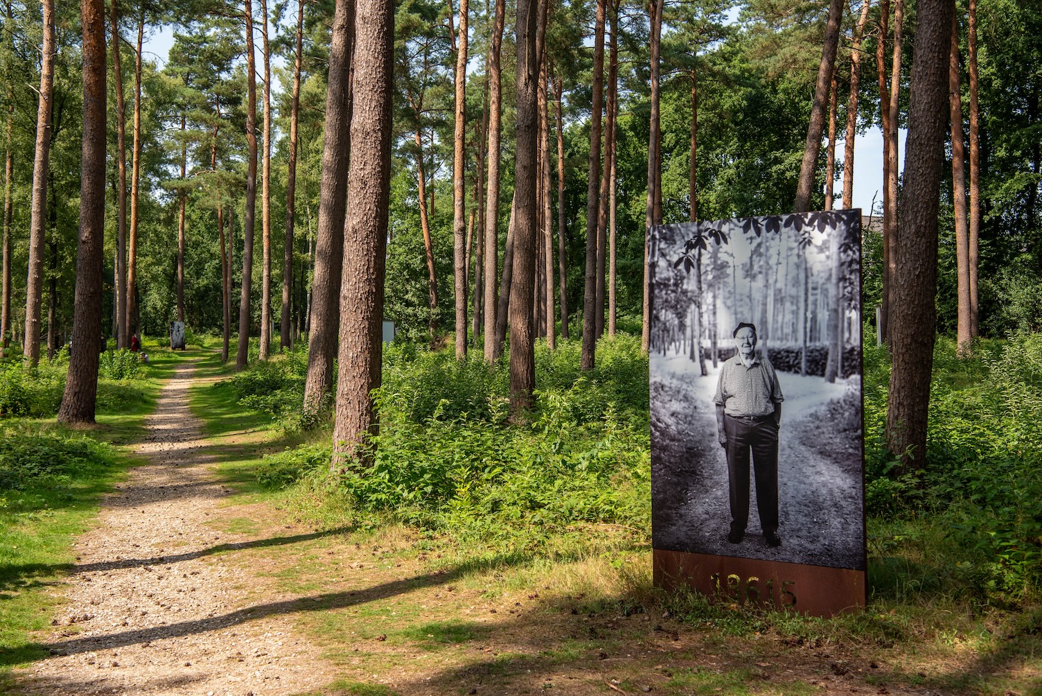 Expositie in de bossen rondom Kamp Amersfoort