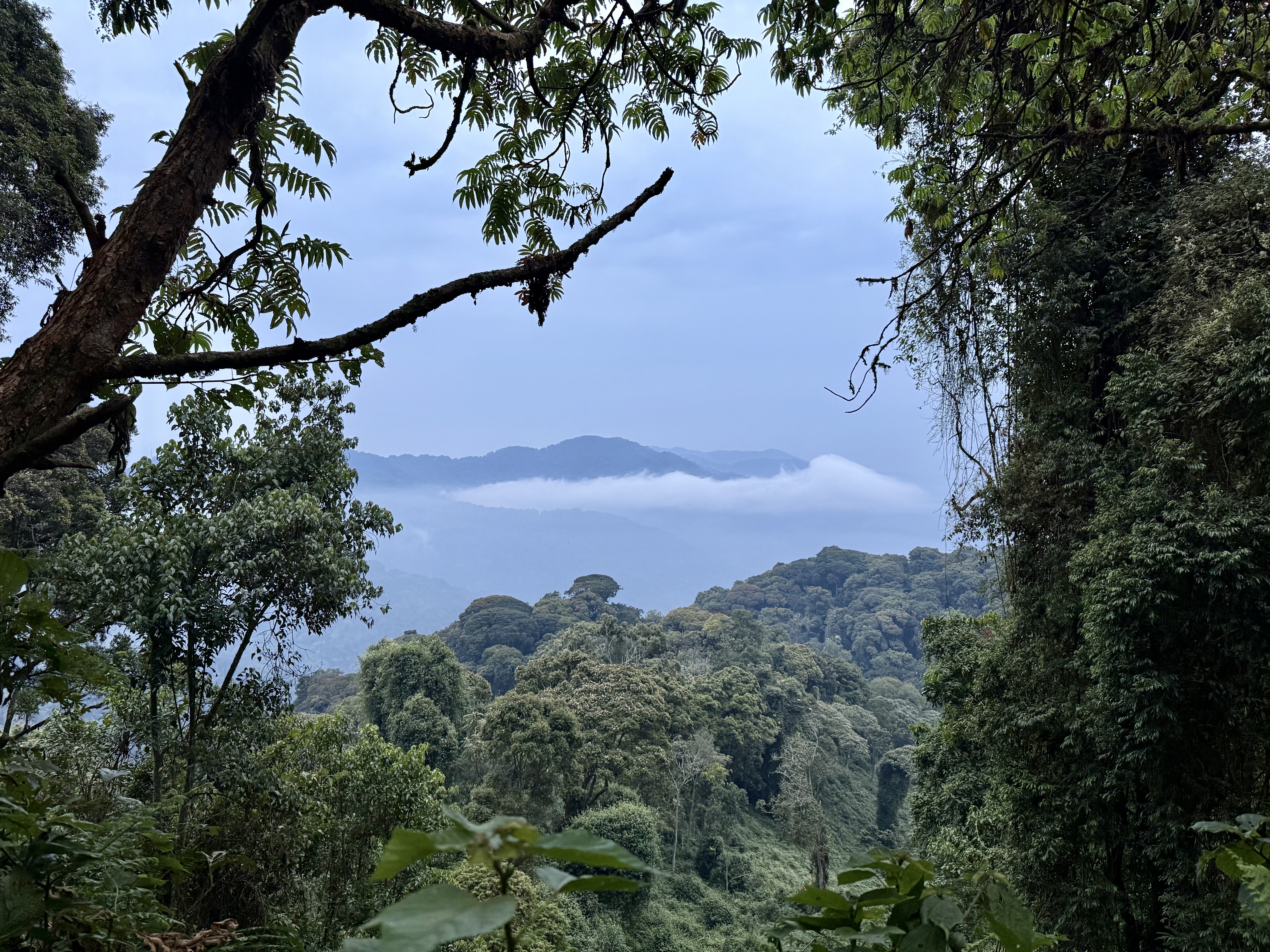 Rwanda op z'n best. Een adembenemend mooi landschap!