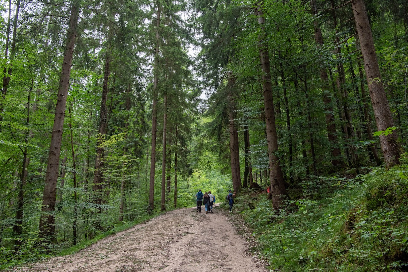 Het bospad naar Schloss Neuschwanstein