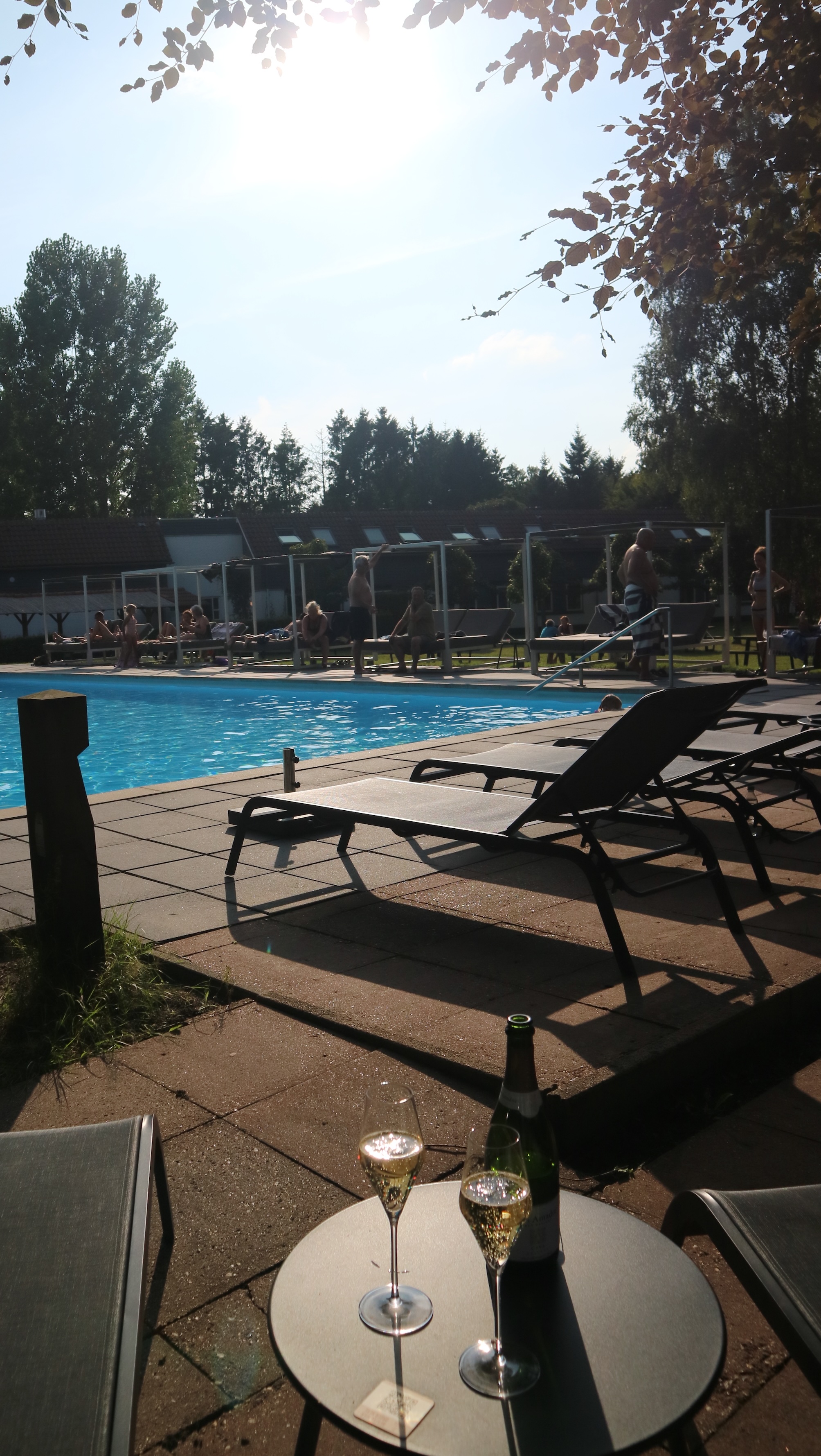 hotel de beyaerd veluwe zwembad