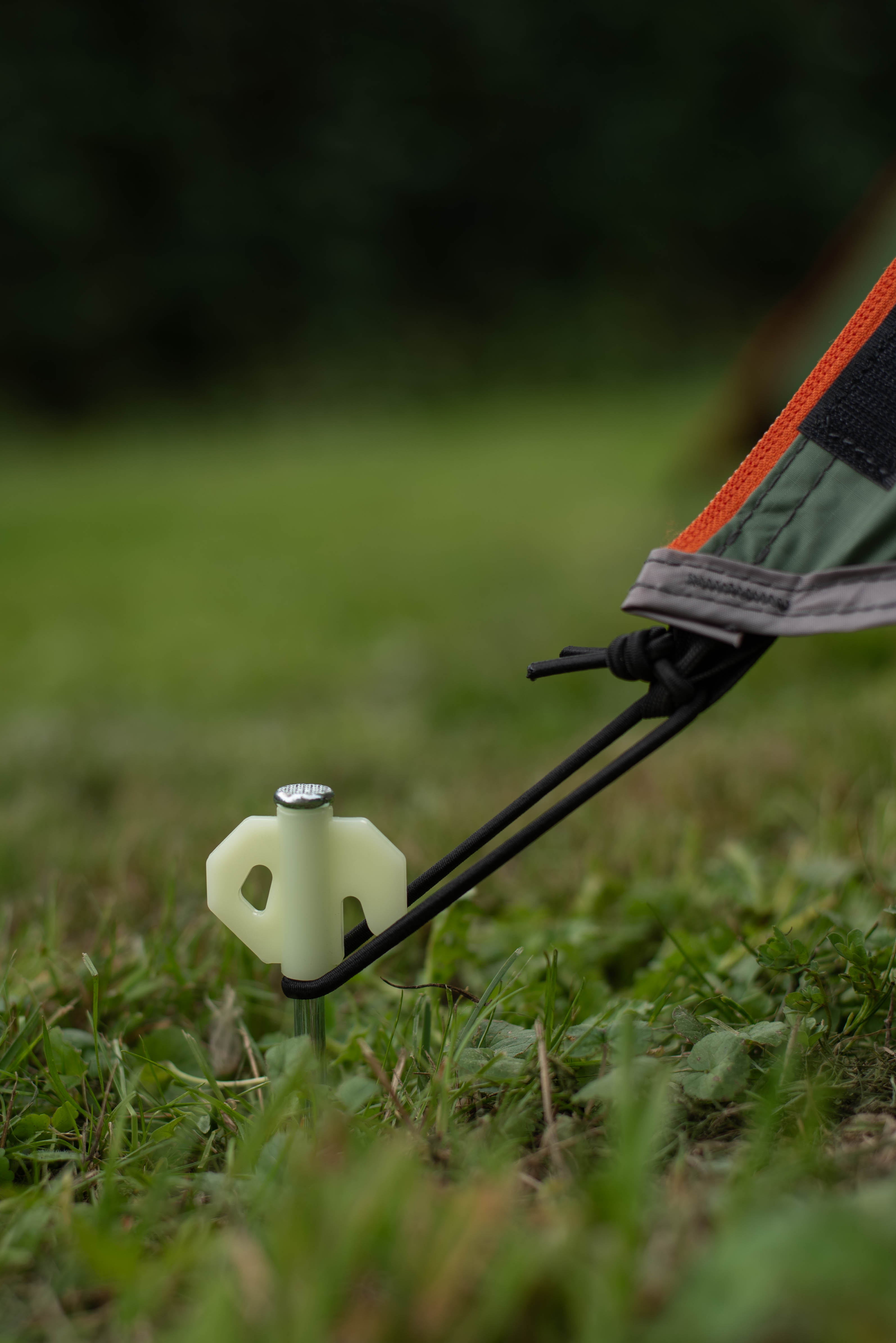 Lichtgevende tentharingen