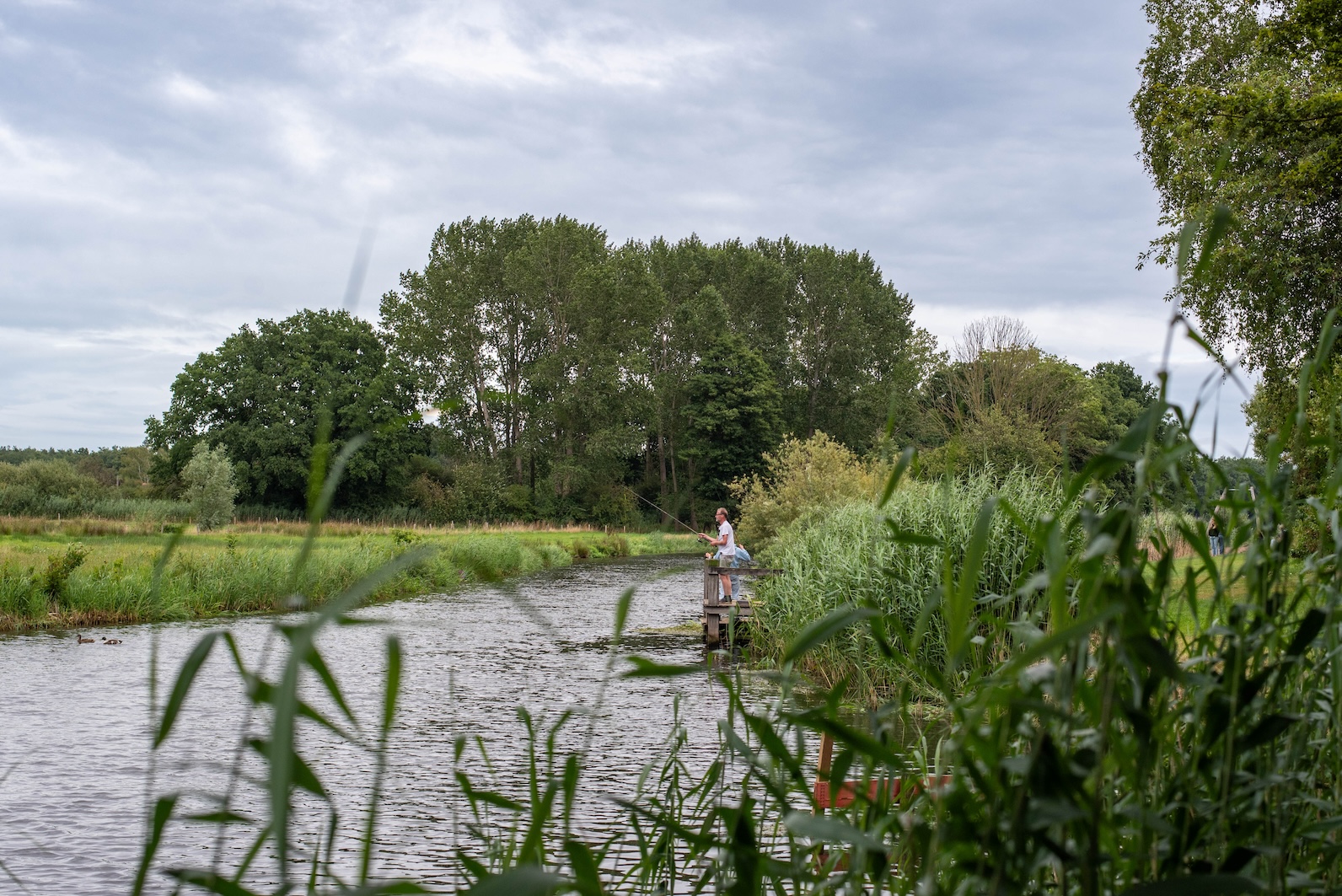 Vissen in de Regge