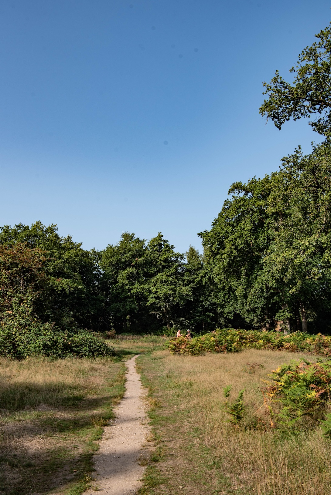 Wandeling naar het uitkijkpunt op de Grebbeberg