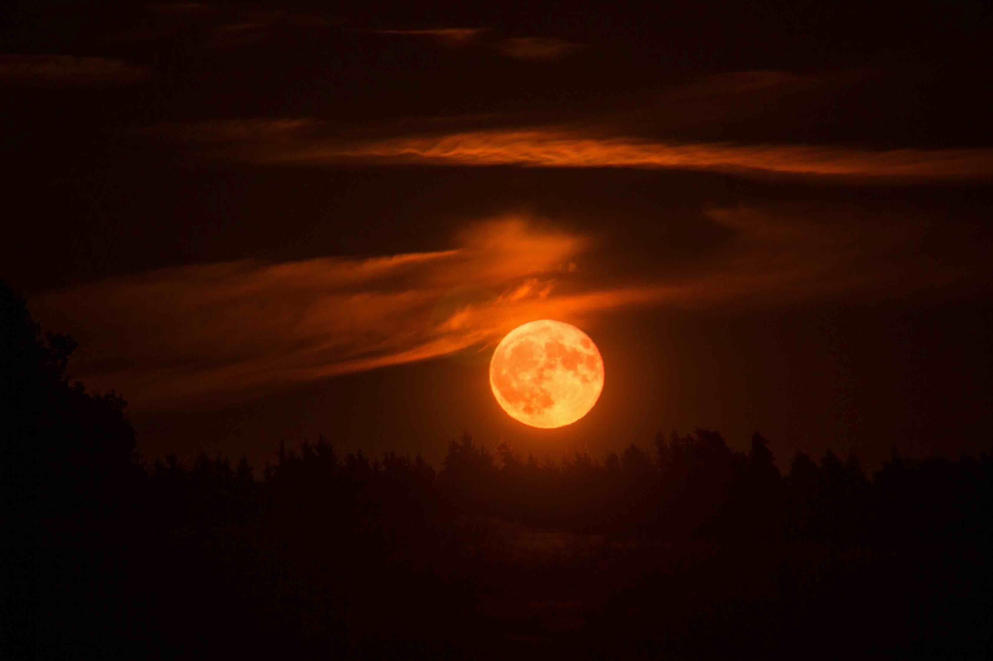 bloedmaan 2025, maansverduistering