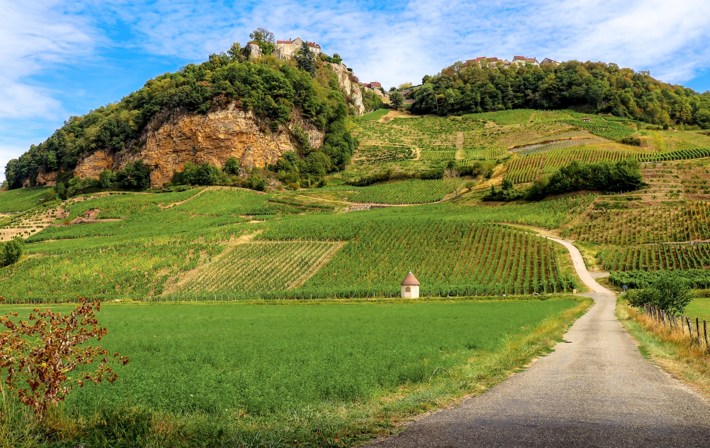 Wijnvelden in de Jura, Frankrijk