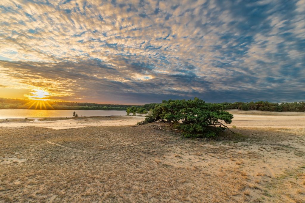 Lommelse Sahara in België tijdens de zonsondergang