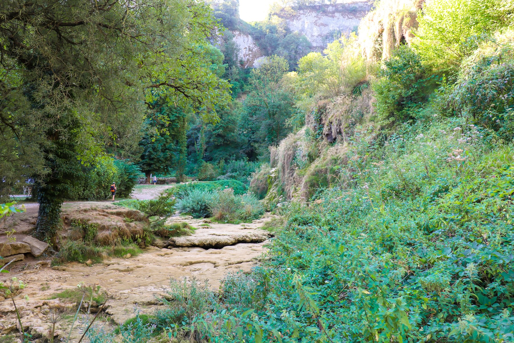 Natuur in de Jura, Frankrijk