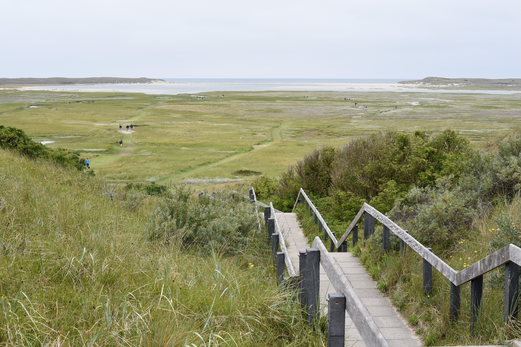 Natuurgebied de Slufter op Texel