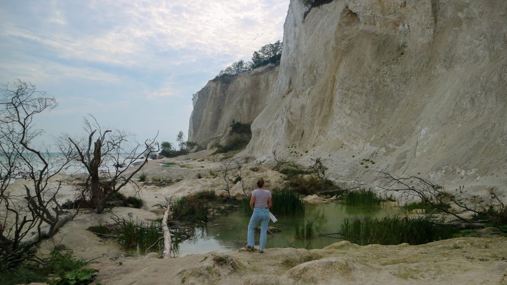 De krijtrotsen van Møns Klint