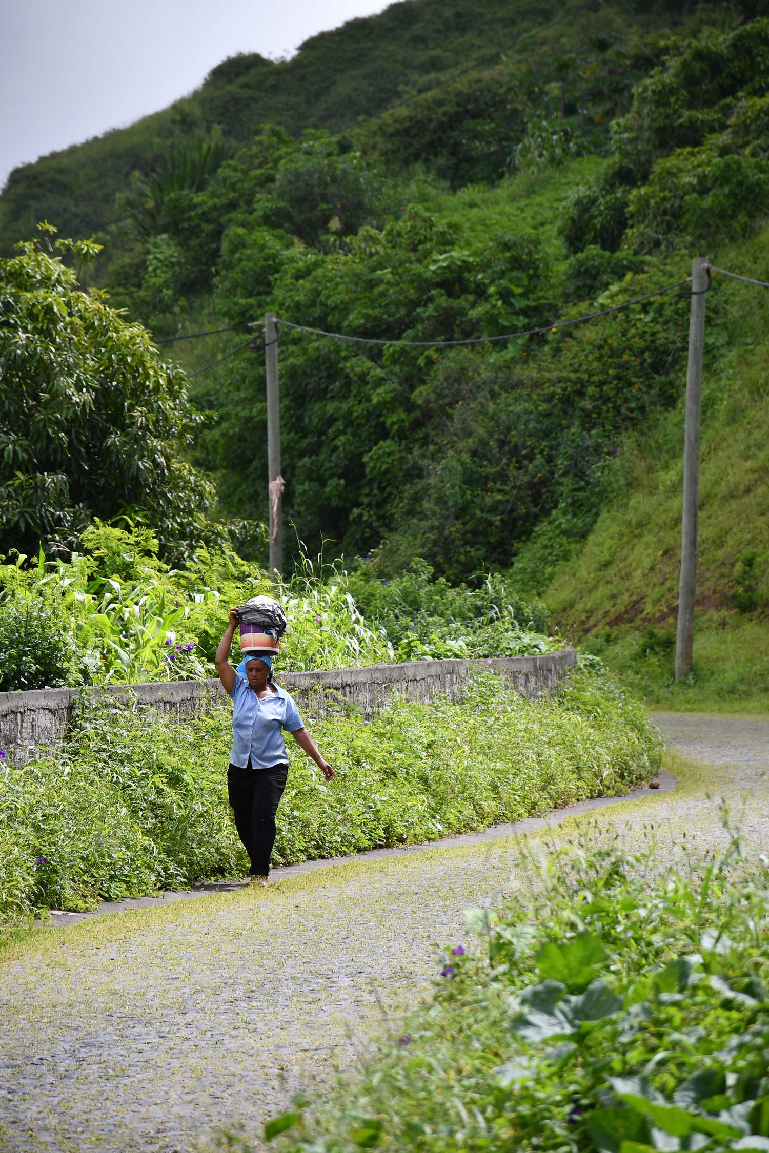 Eilandleven Fogo Kaapverdie