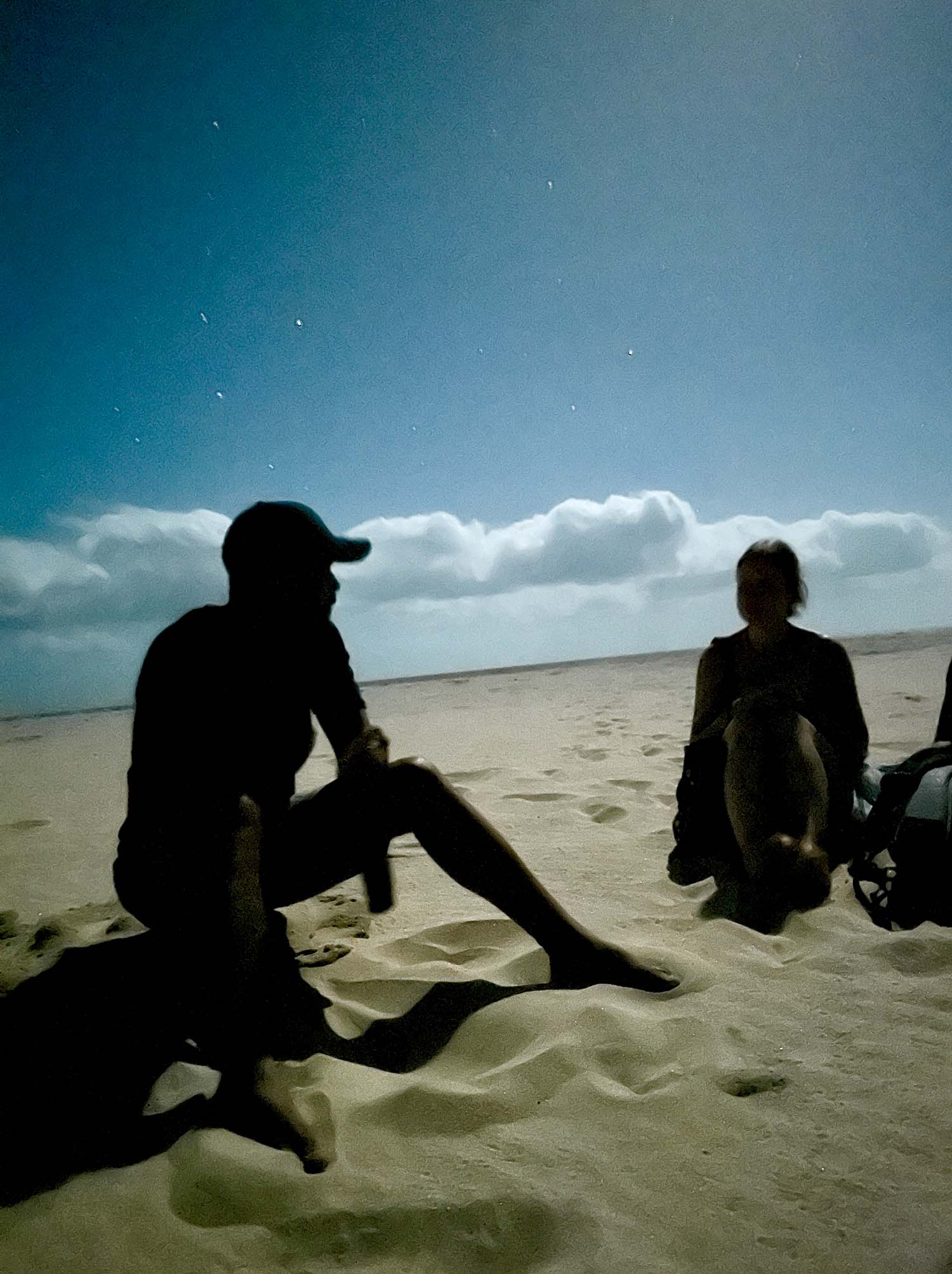 Gids schildpadden Boa Vista