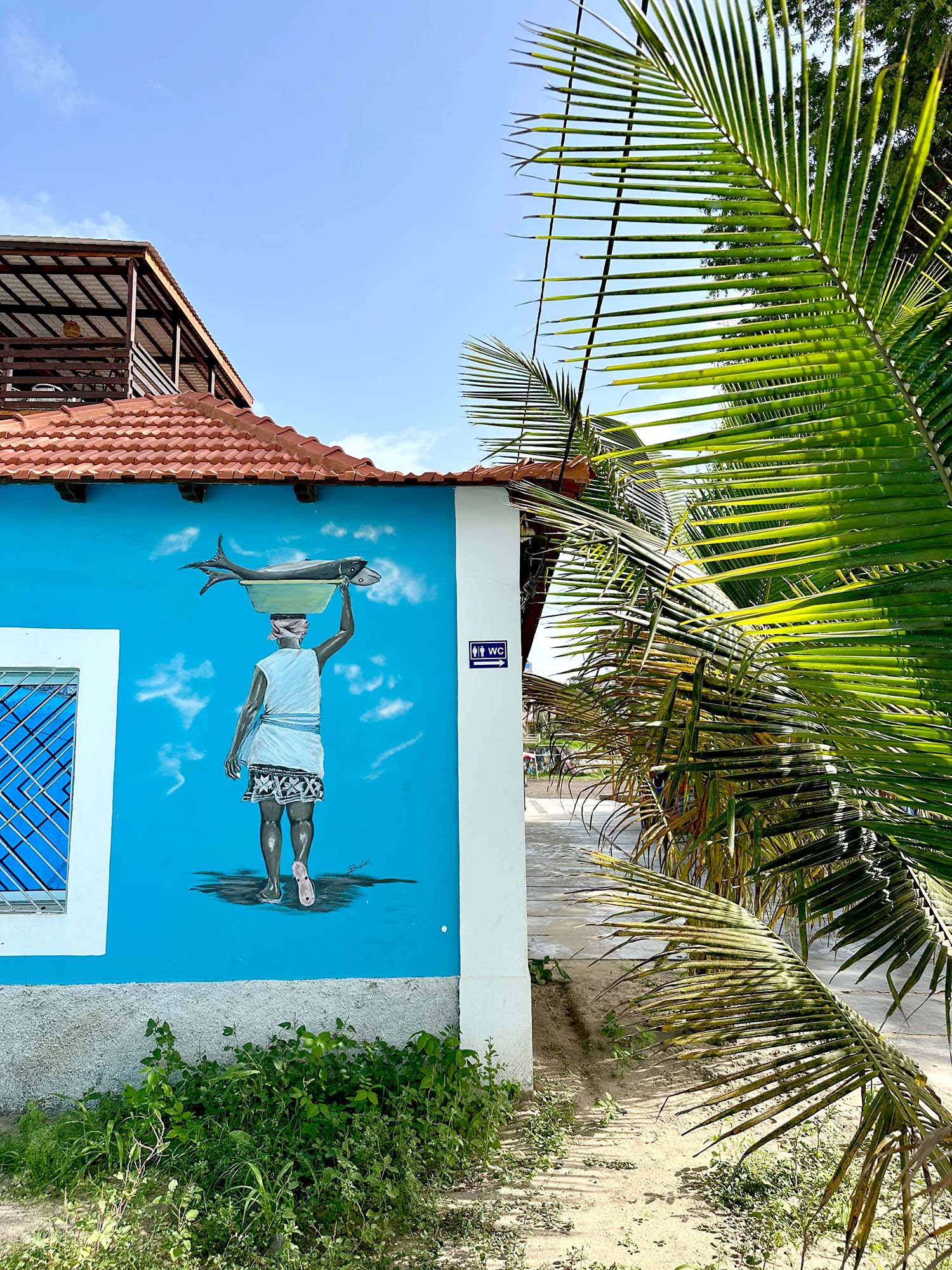 Vissen Santiago Kaapverdie