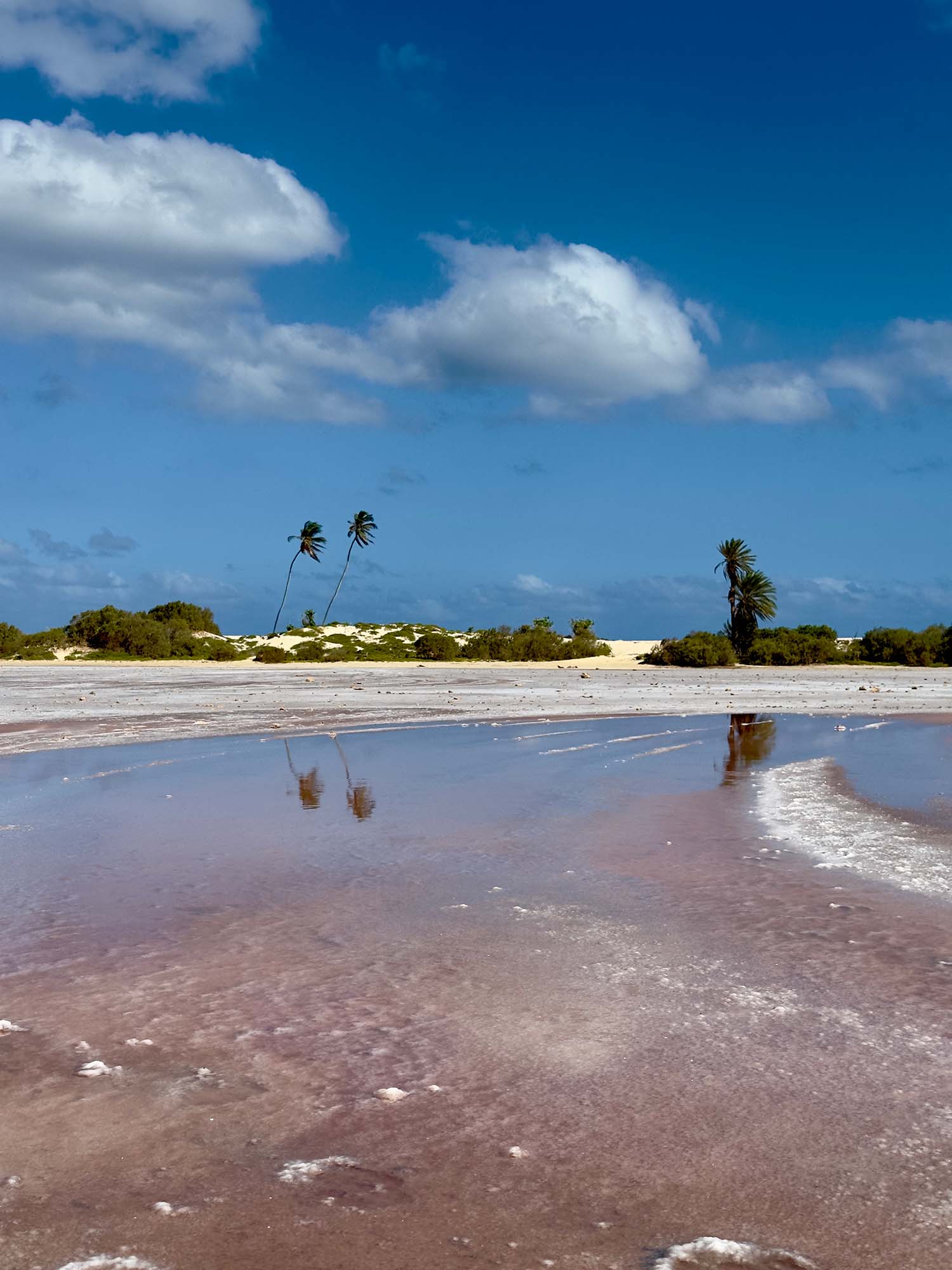 Zoutmeer Boa Vista Kaapverdie