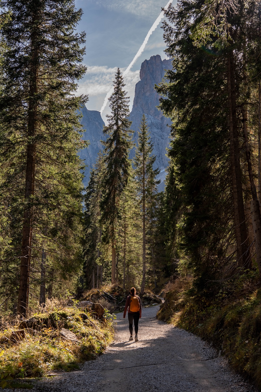 Vrouw wandelt de Adolf Munkel Trail