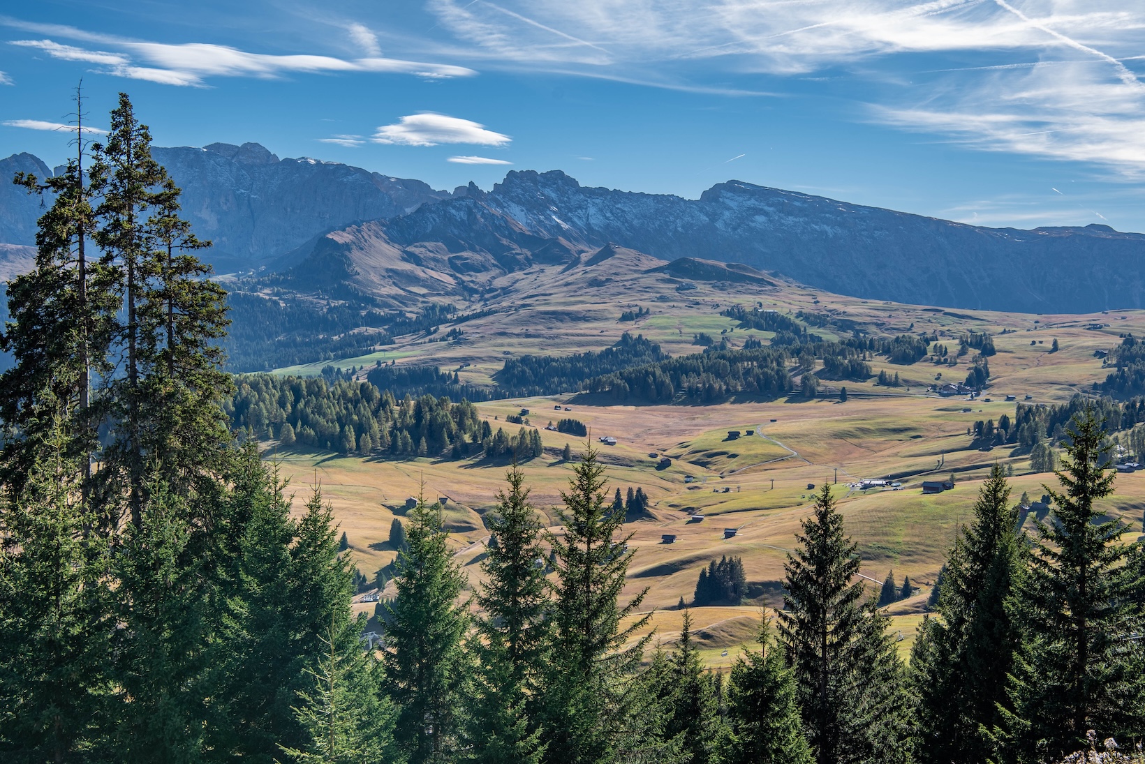 De alpenweide van Alpe di Siusi