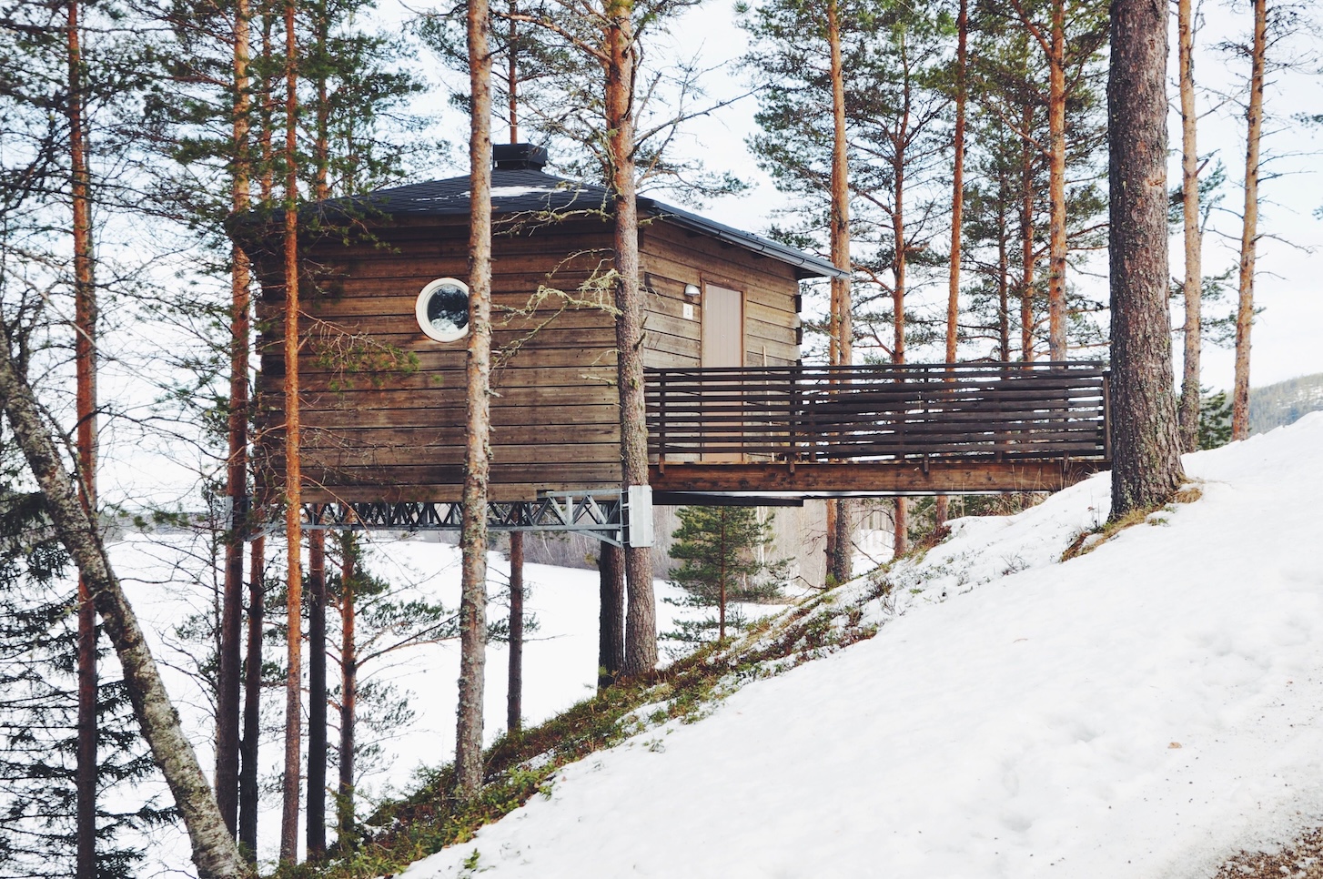 Treehotel in Zweden