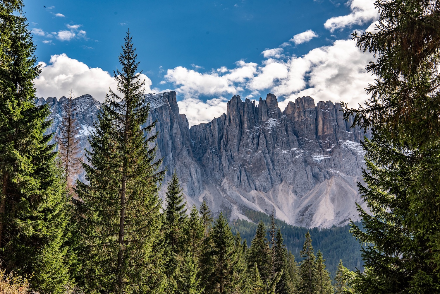 De toppen van de berg Latemar in Italië, gezien vanuit de Karersee